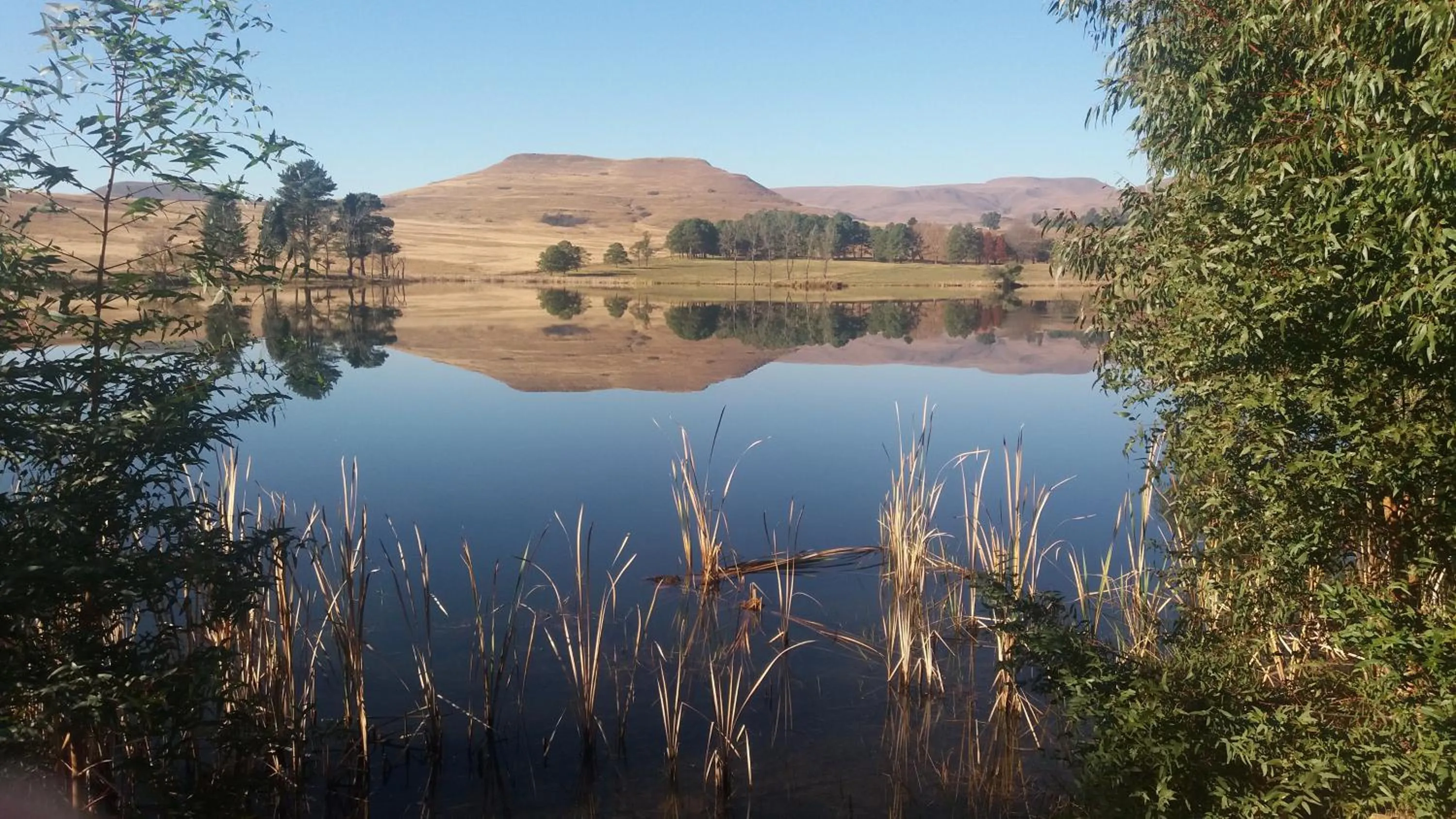 Invermooi Estate
