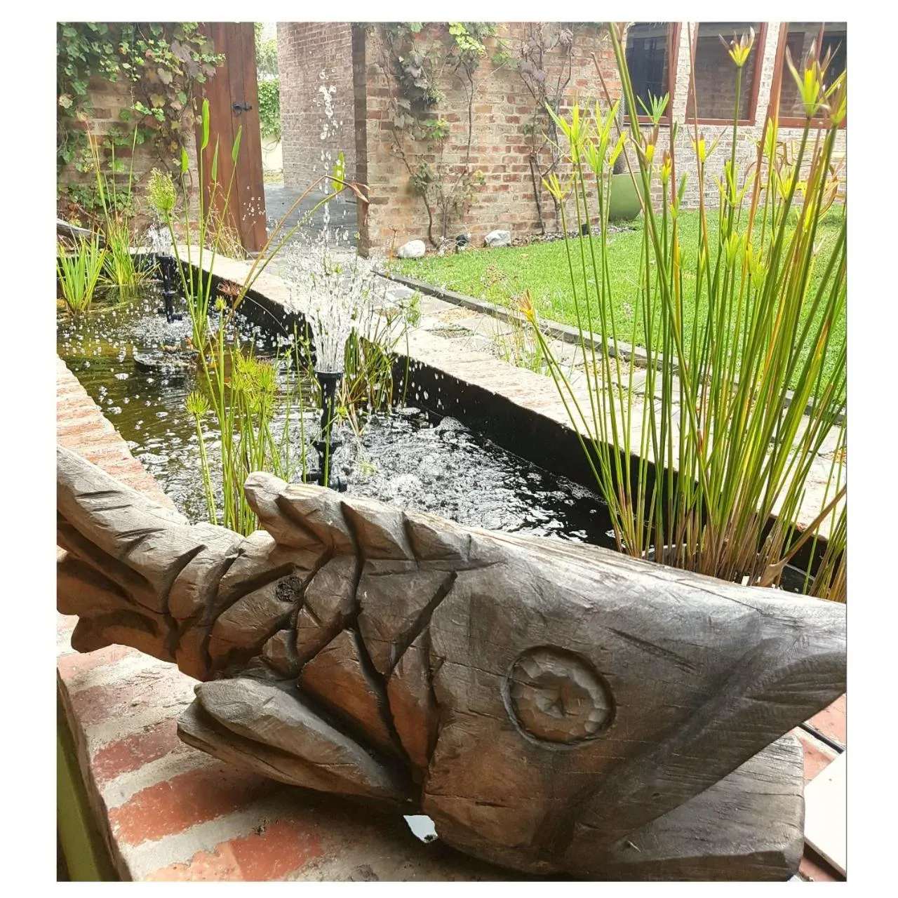 Garden in Port Del Mar Guesthouse