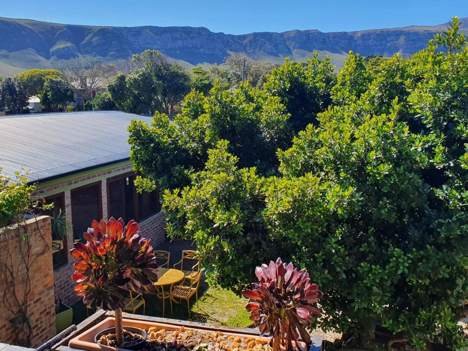 Mountain view in Port Del Mar Guesthouse