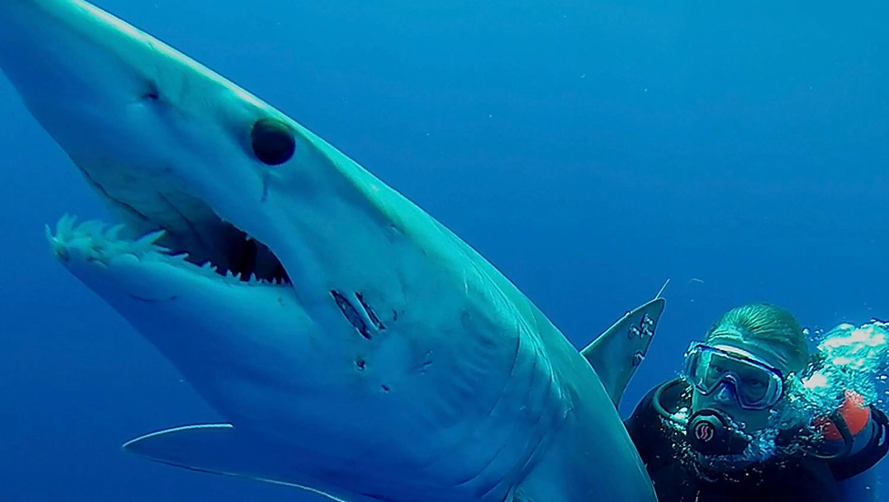 Diving in Port Del Mar Guesthouse