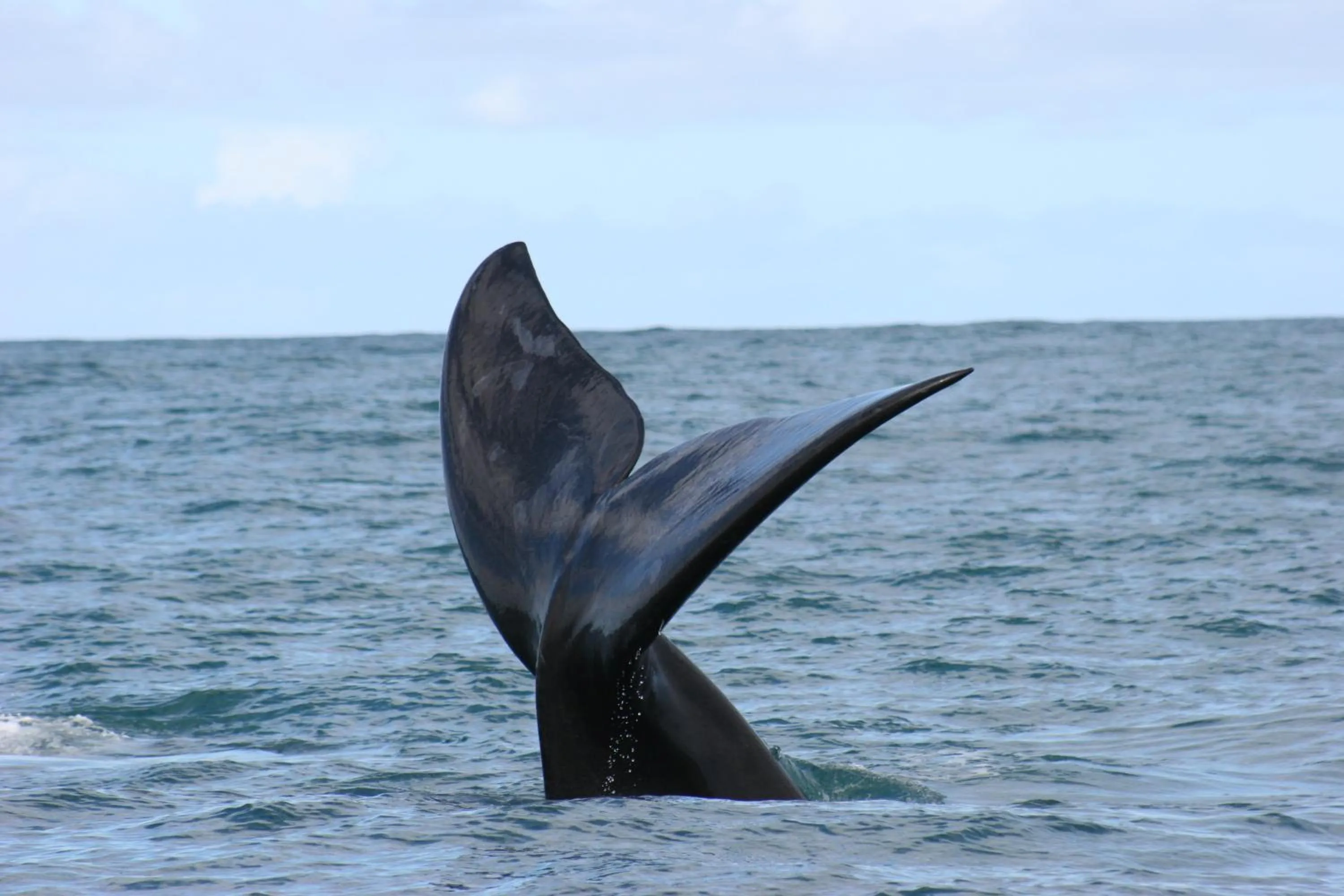 Activities in Port Del Mar Guesthouse