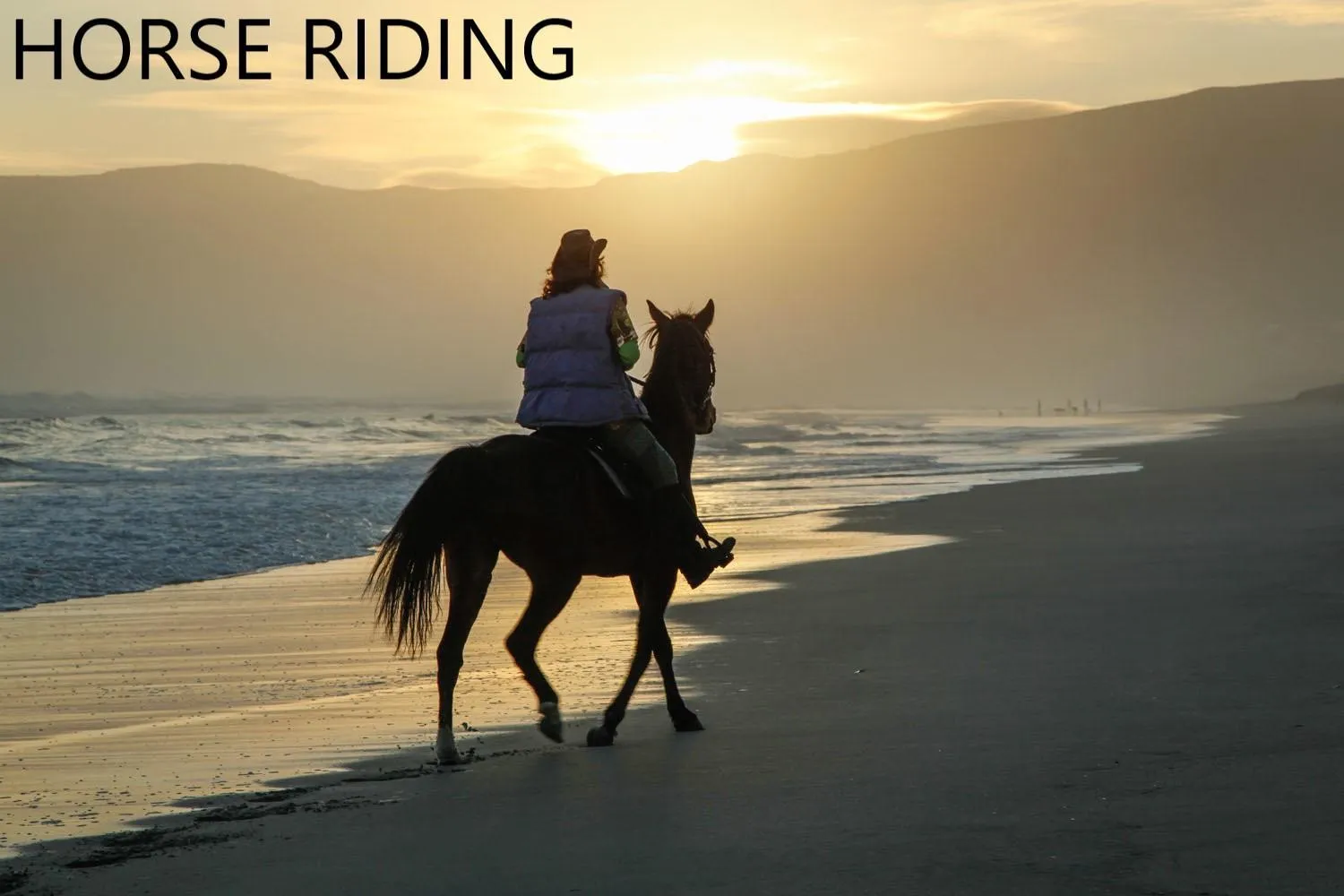 Horse-riding in Port Del Mar Guesthouse