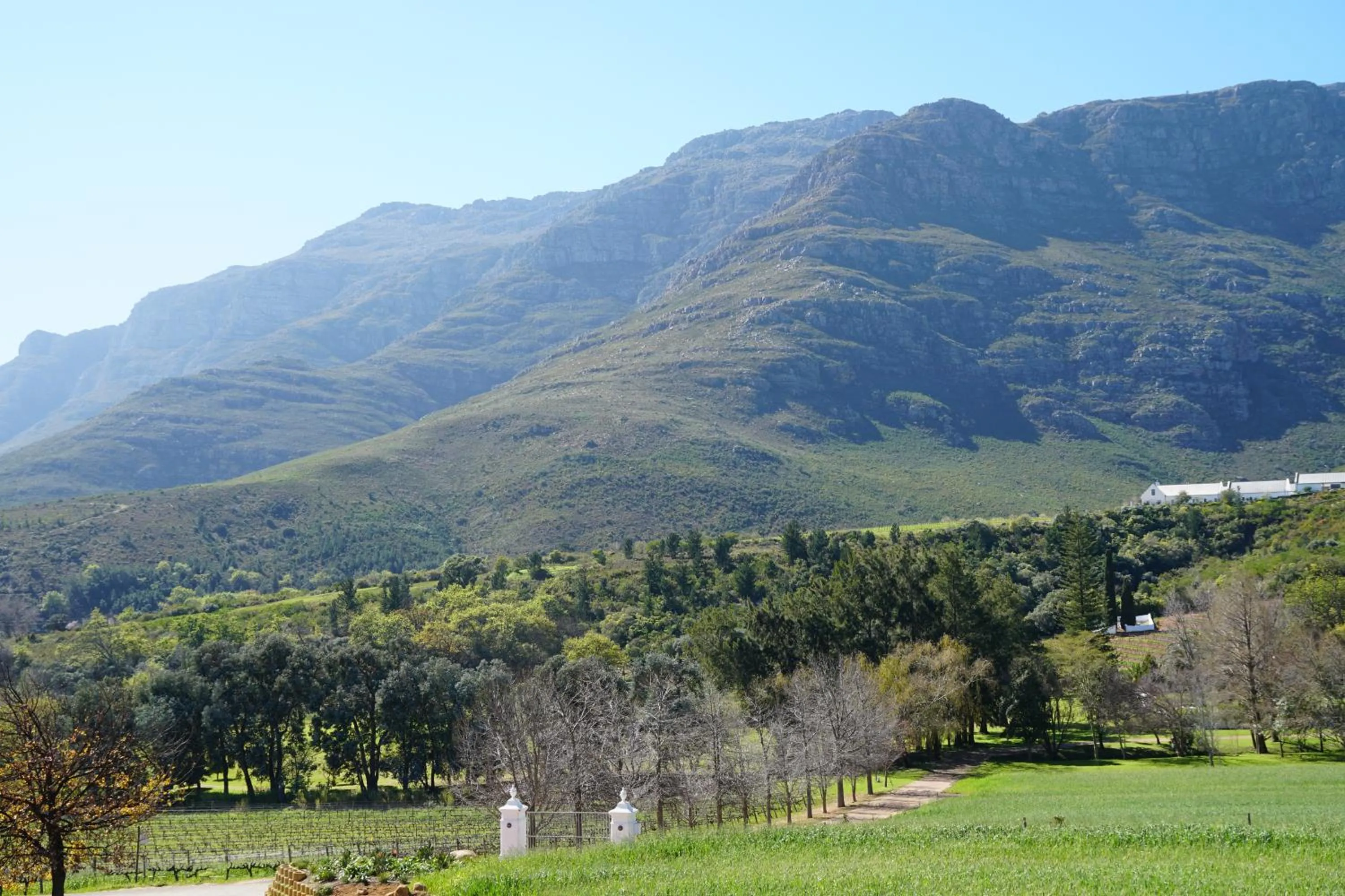Natural landscape in Mont Angelis