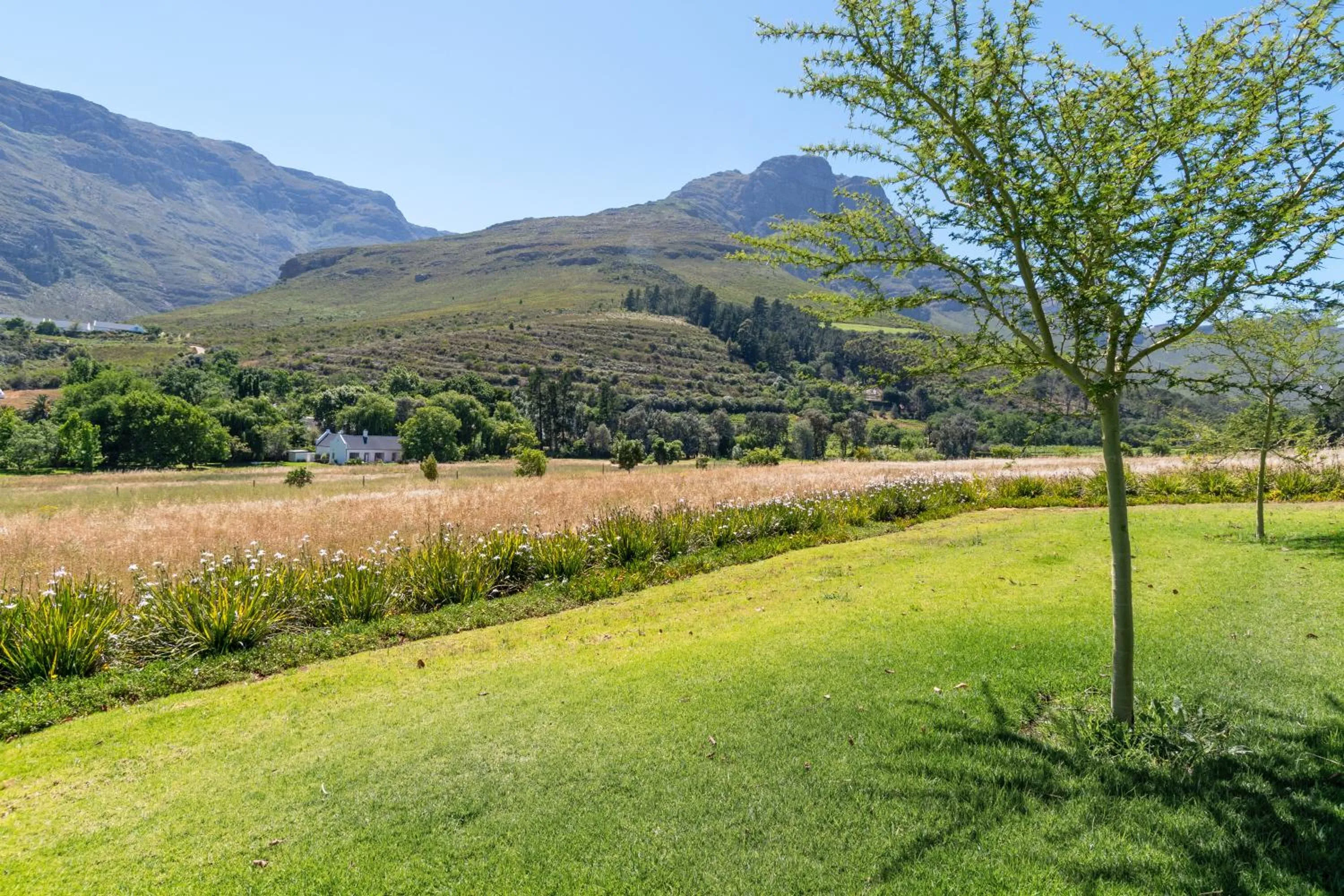 View (from property/room) in Mont Angelis