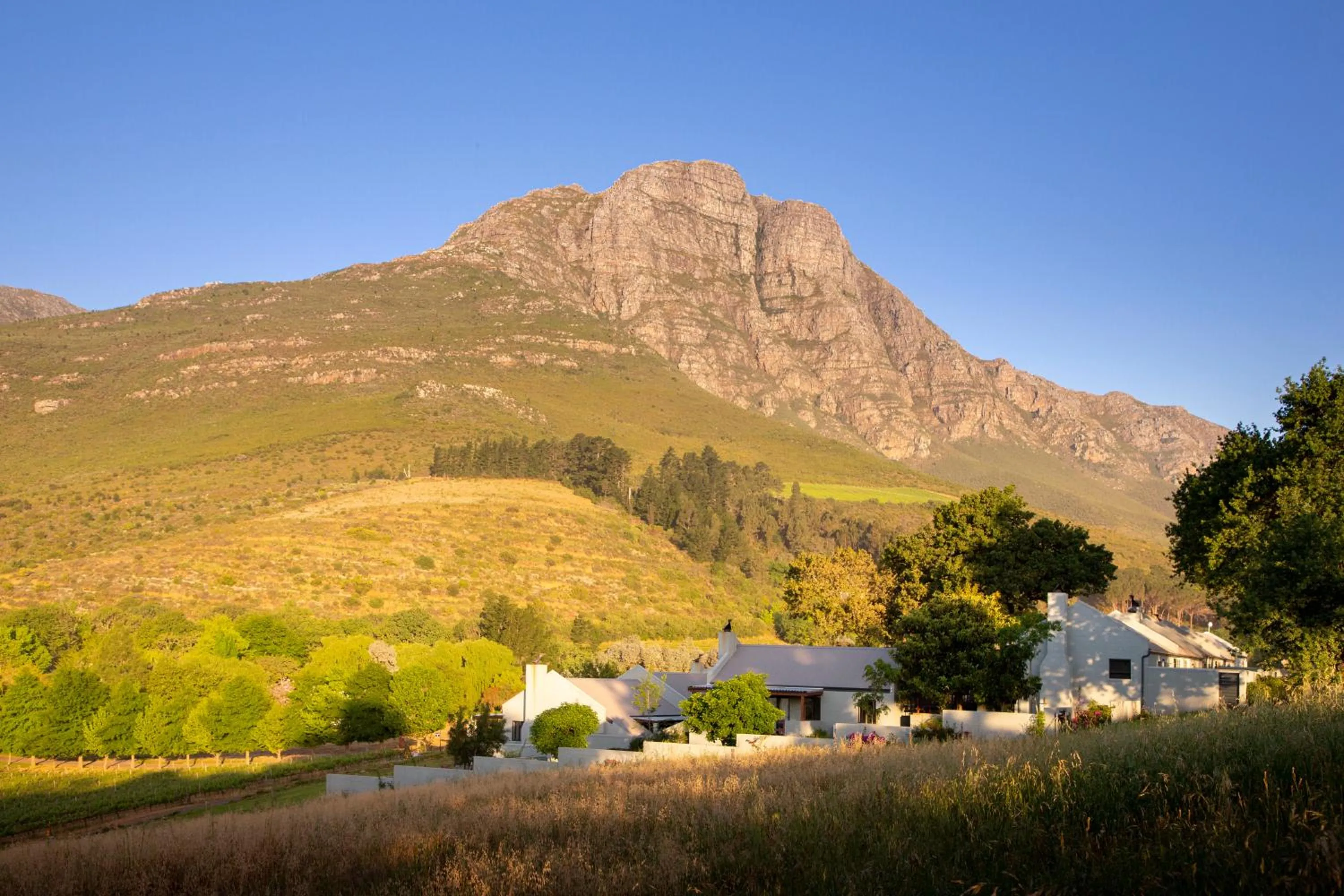 Standard Cottage in Mont Angelis