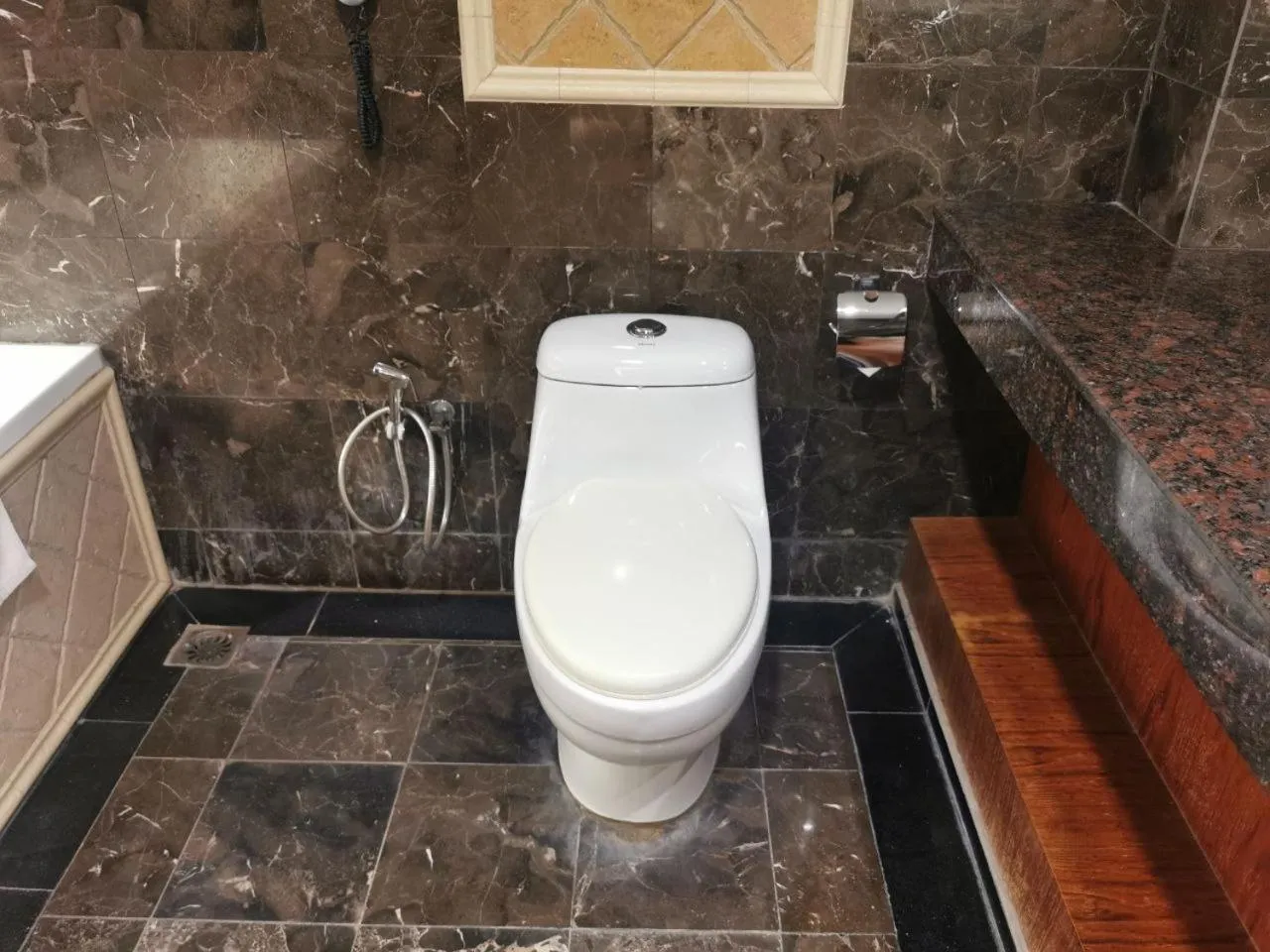 Toilet in Meritz Hotel