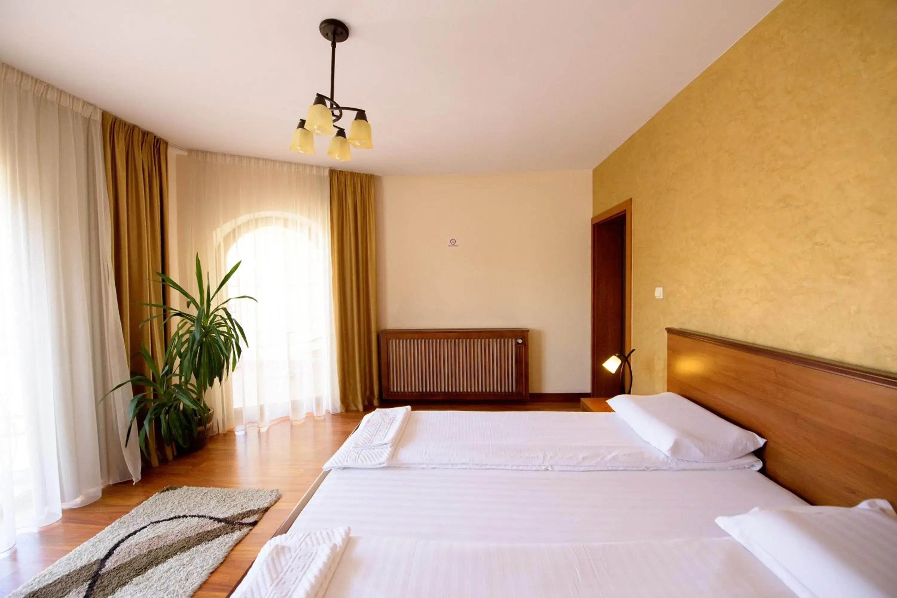 Double Room - single occupancy in Pensiunea Normandia Double Room - single occupancy in Pensiunea Normandia