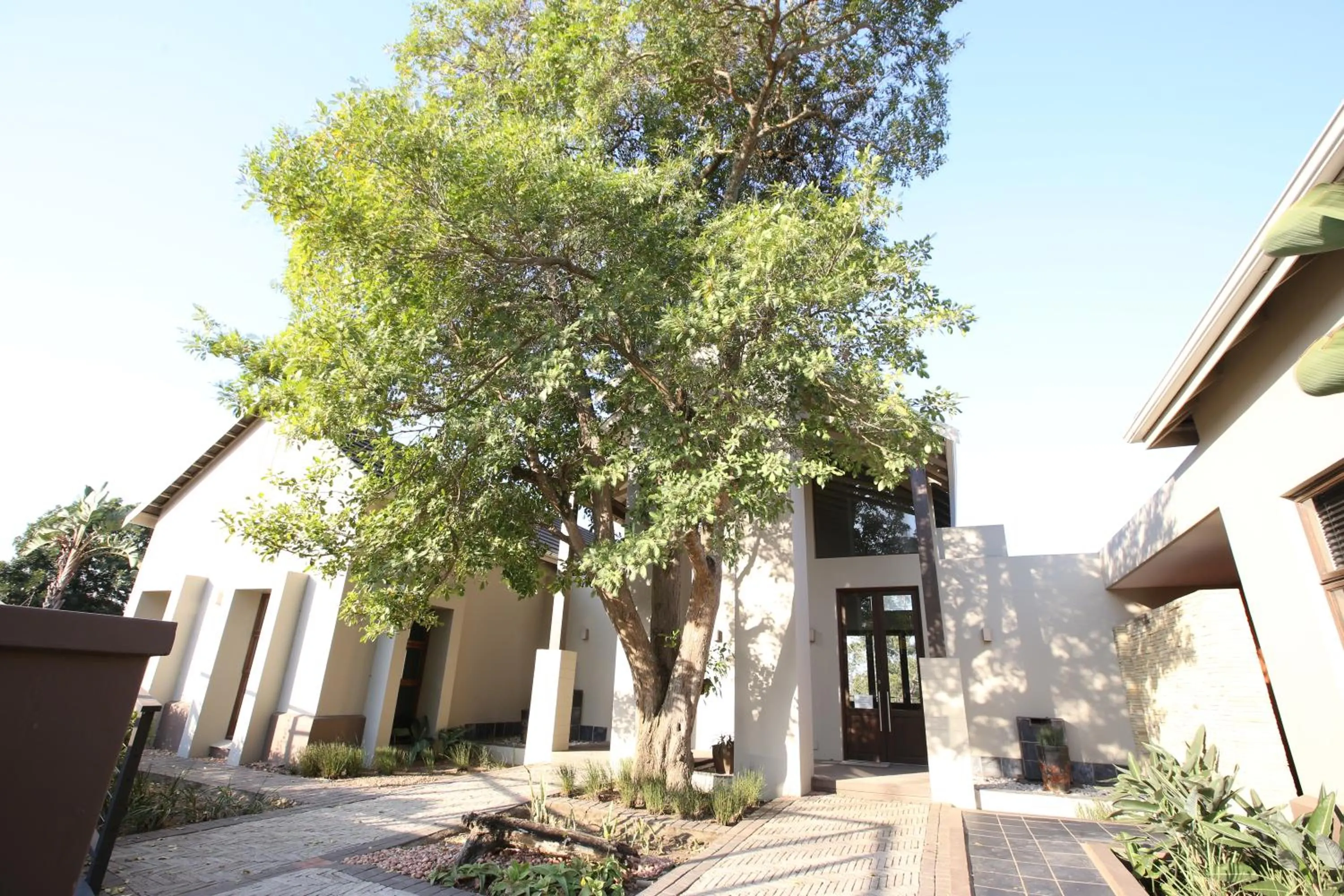 Westwood Skye 12 Grace Avenue