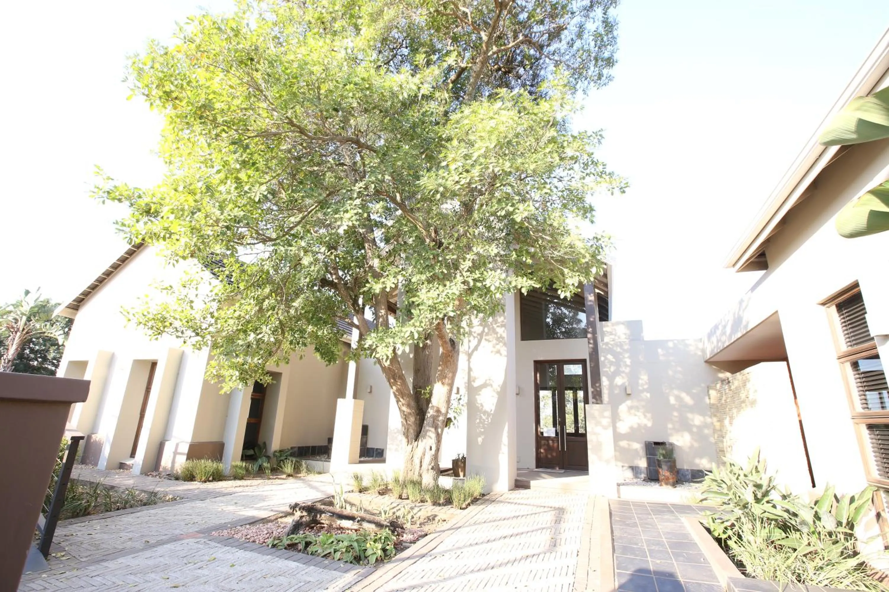 Westwood Skye 12 Grace Avenue