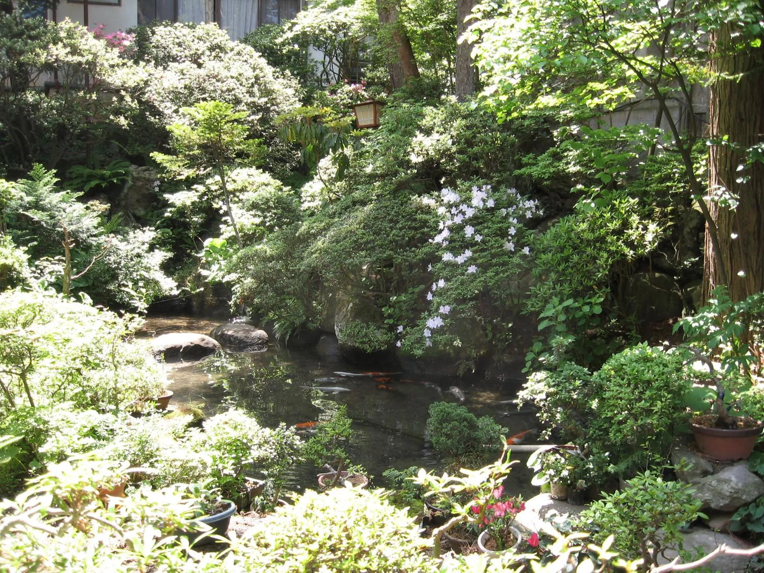 Summer in Maruka Ryokan