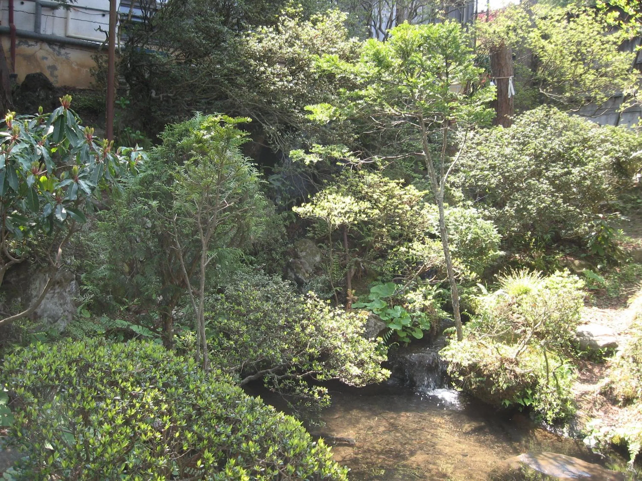 Day in Maruka Ryokan