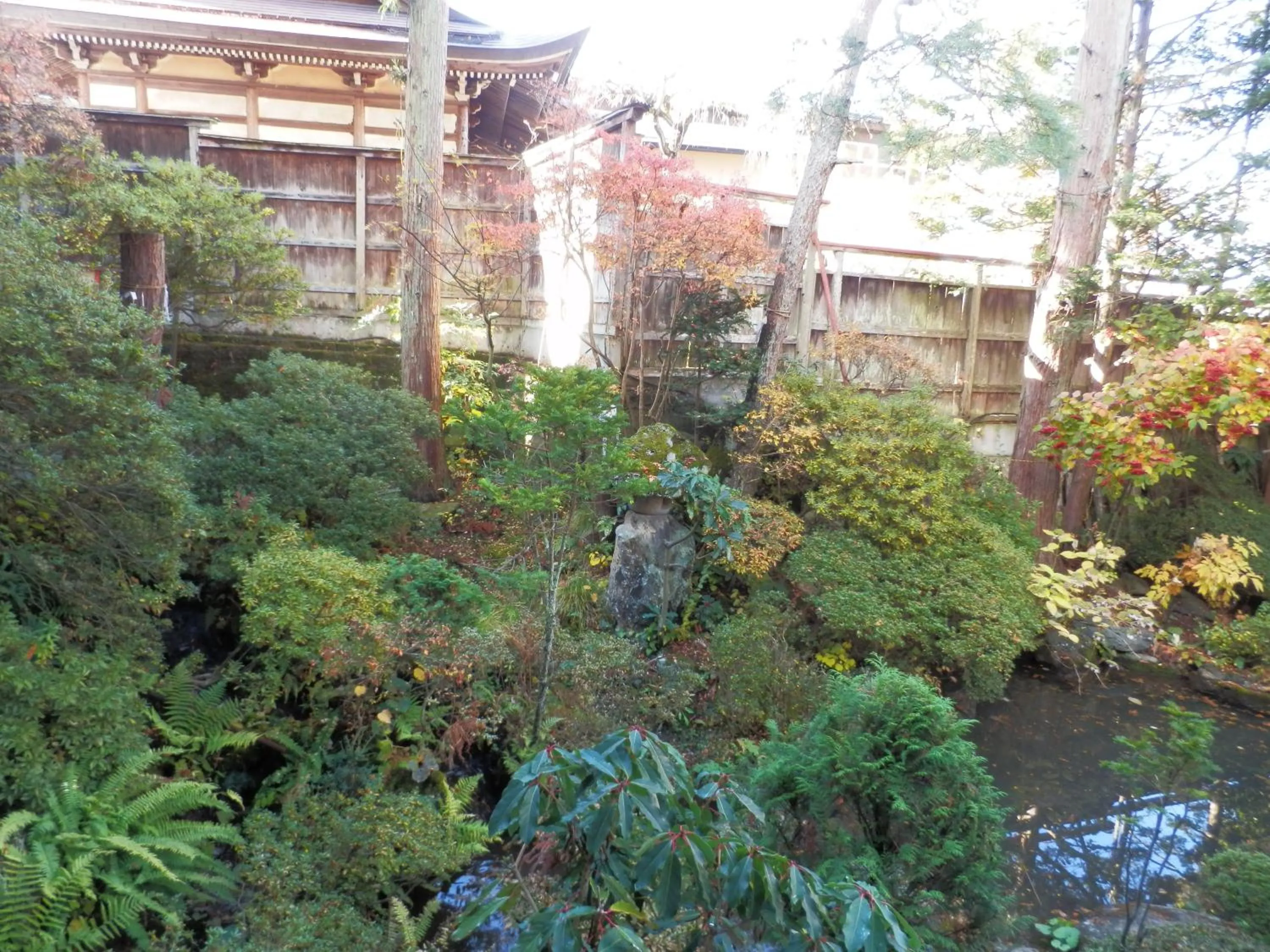 View (from property/room) in Maruka Ryokan