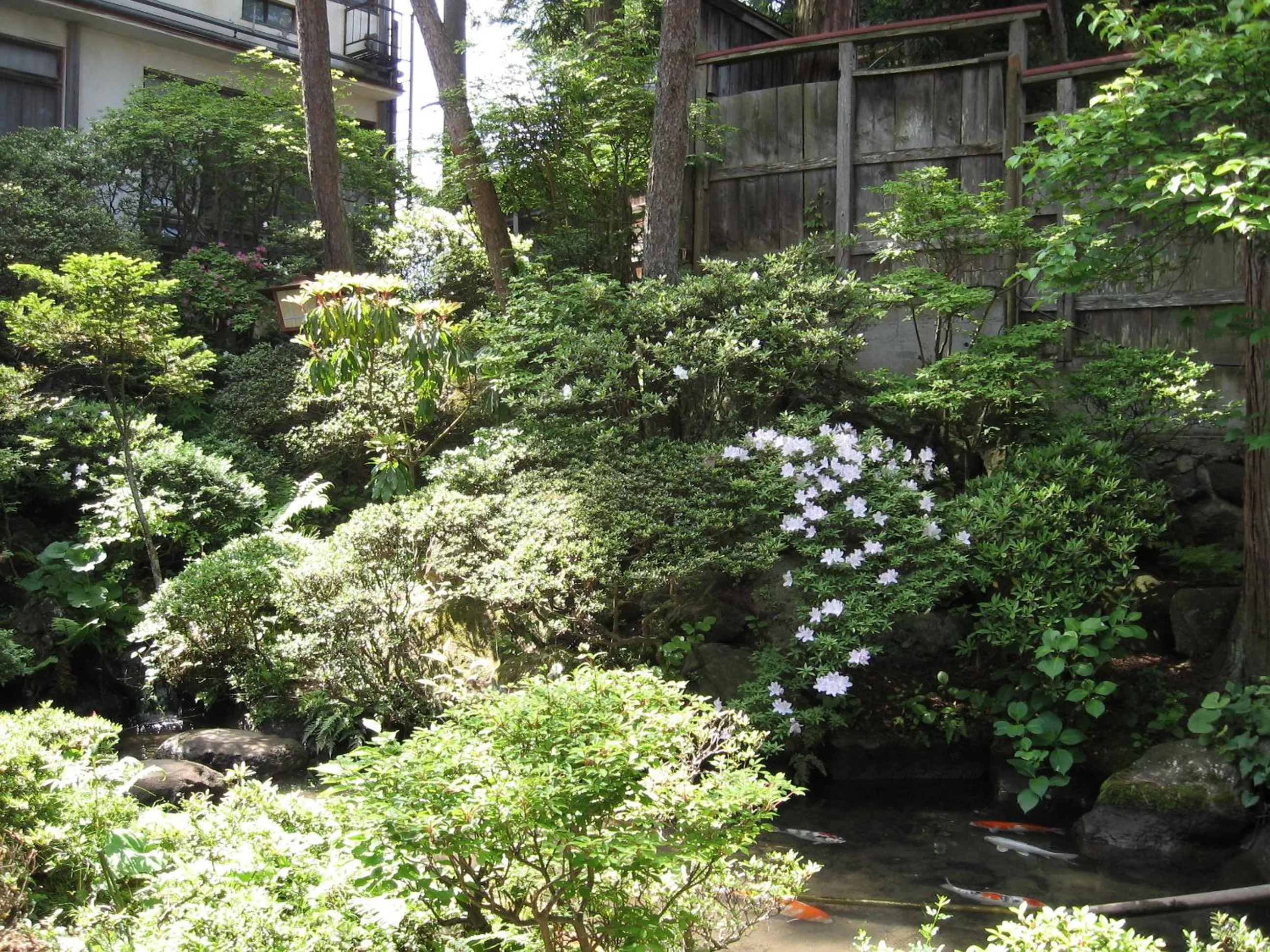 Summer in Maruka Ryokan