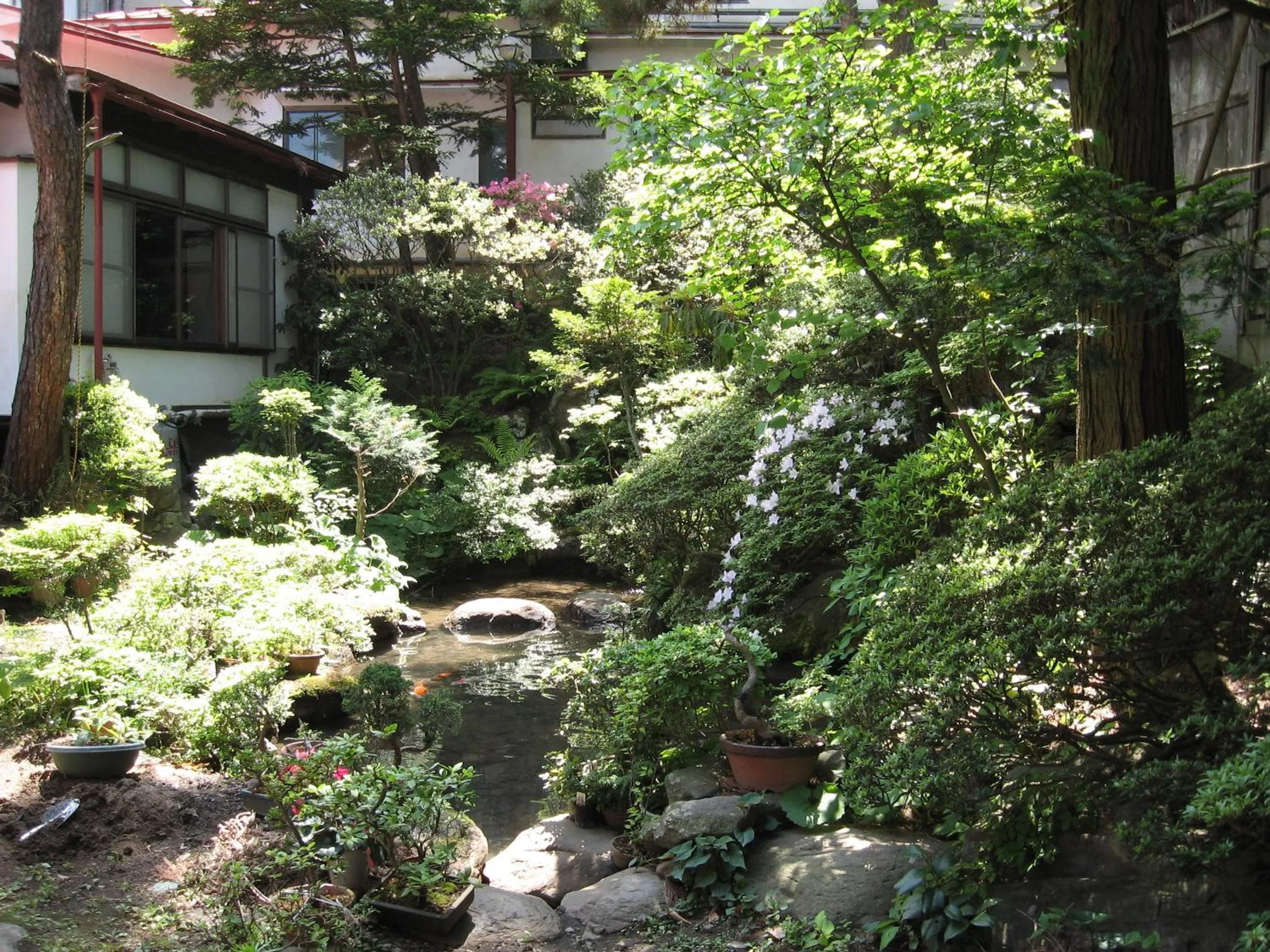 Summer in Maruka Ryokan