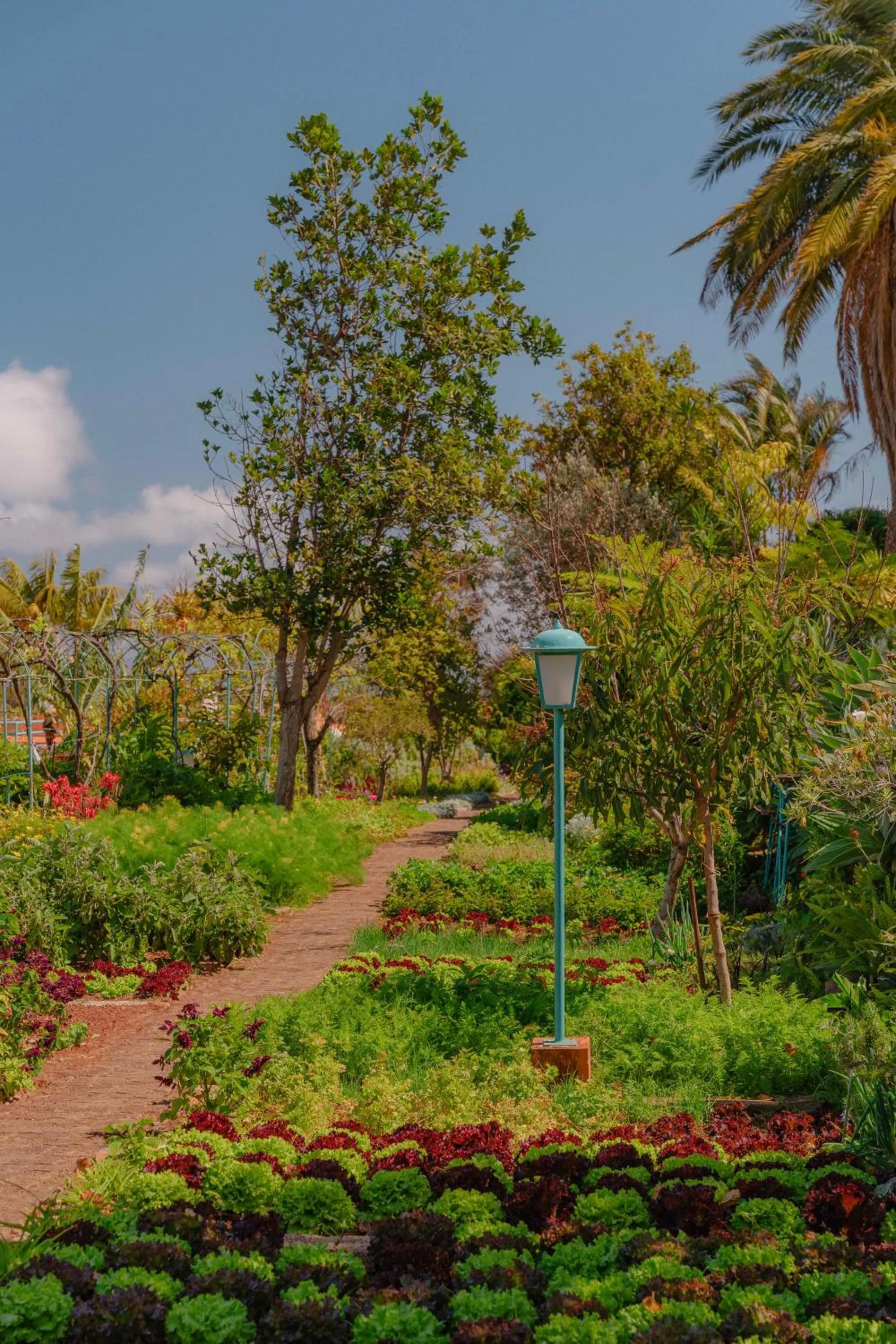 View (from property/room) in Quinta Splendida Wellness & Botanical Garden