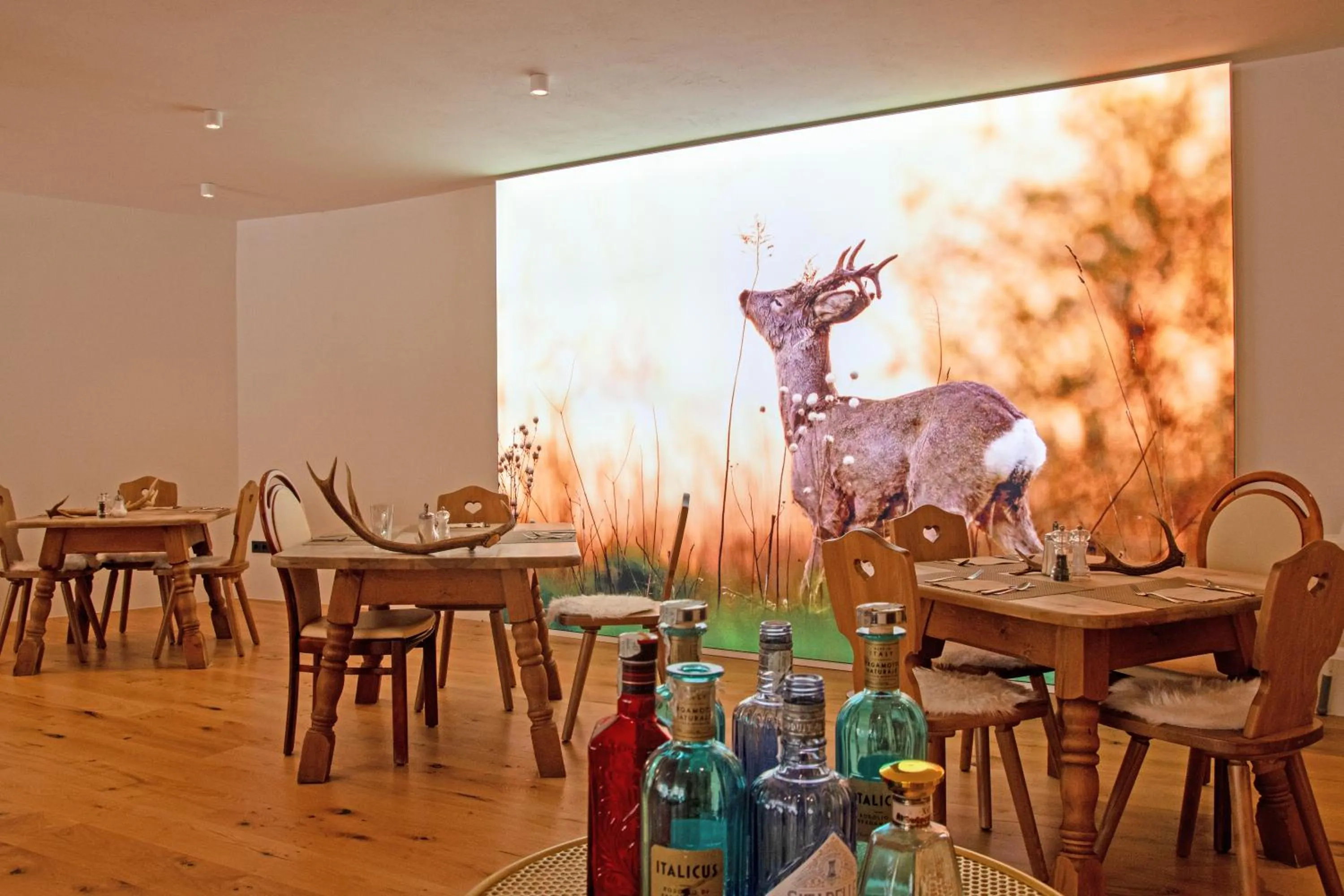 Restaurant/places to eat in Hotel Nocturnes