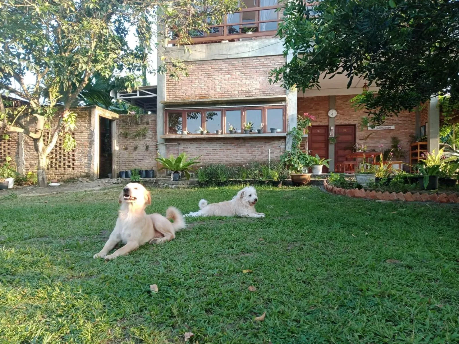 Garden in Bua Guest House