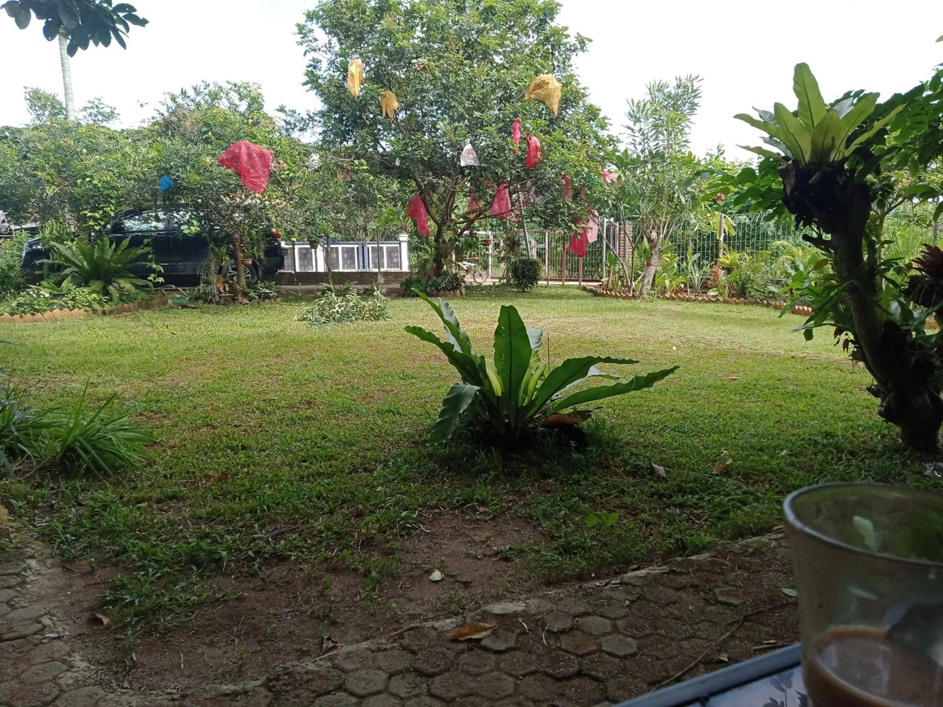 Natural landscape in Bua Guest House