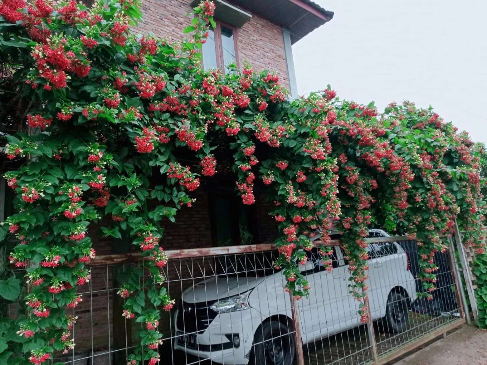 Parking in Bua Guest House