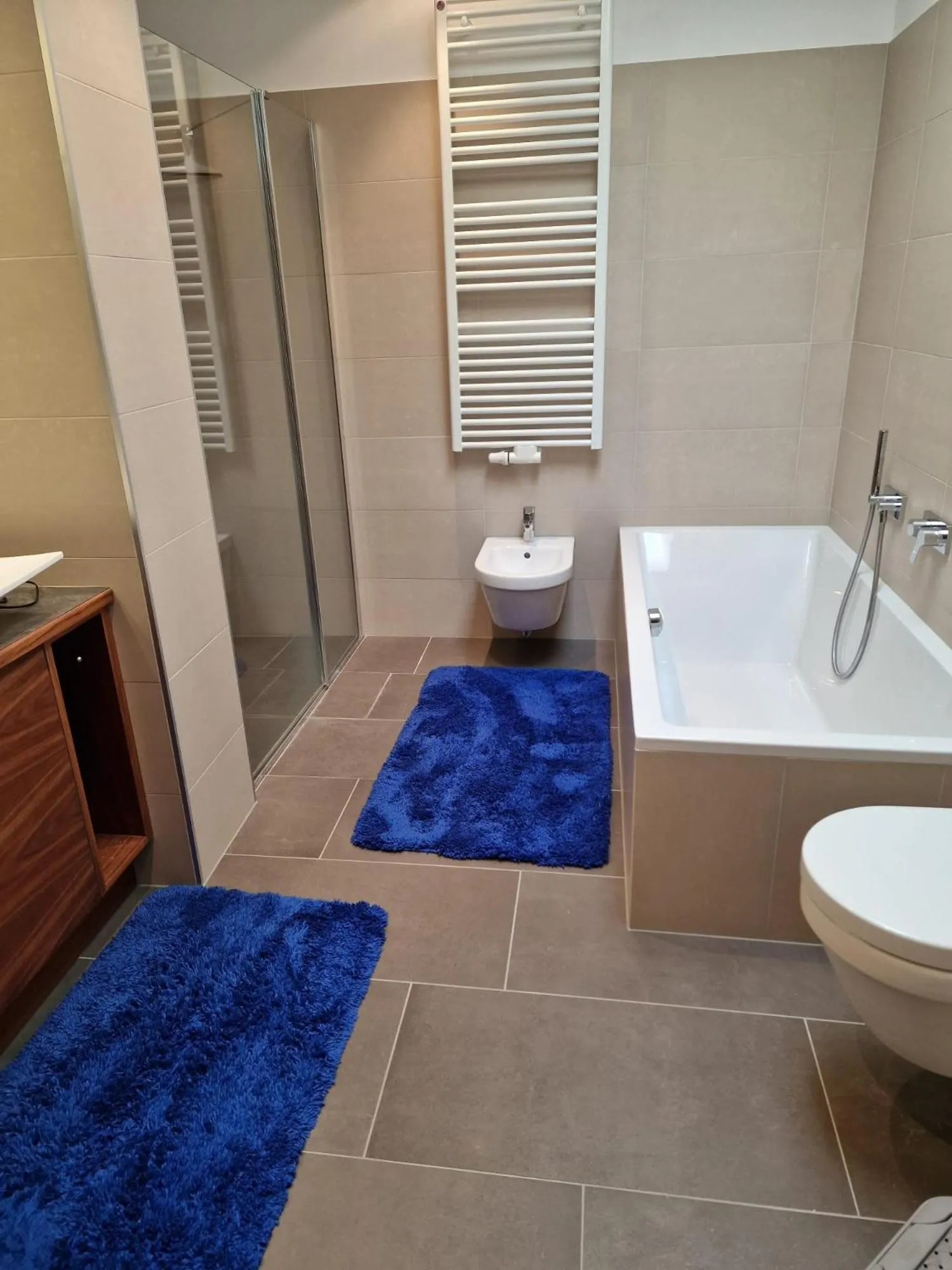 Toilet in Hotel Mehrhauser