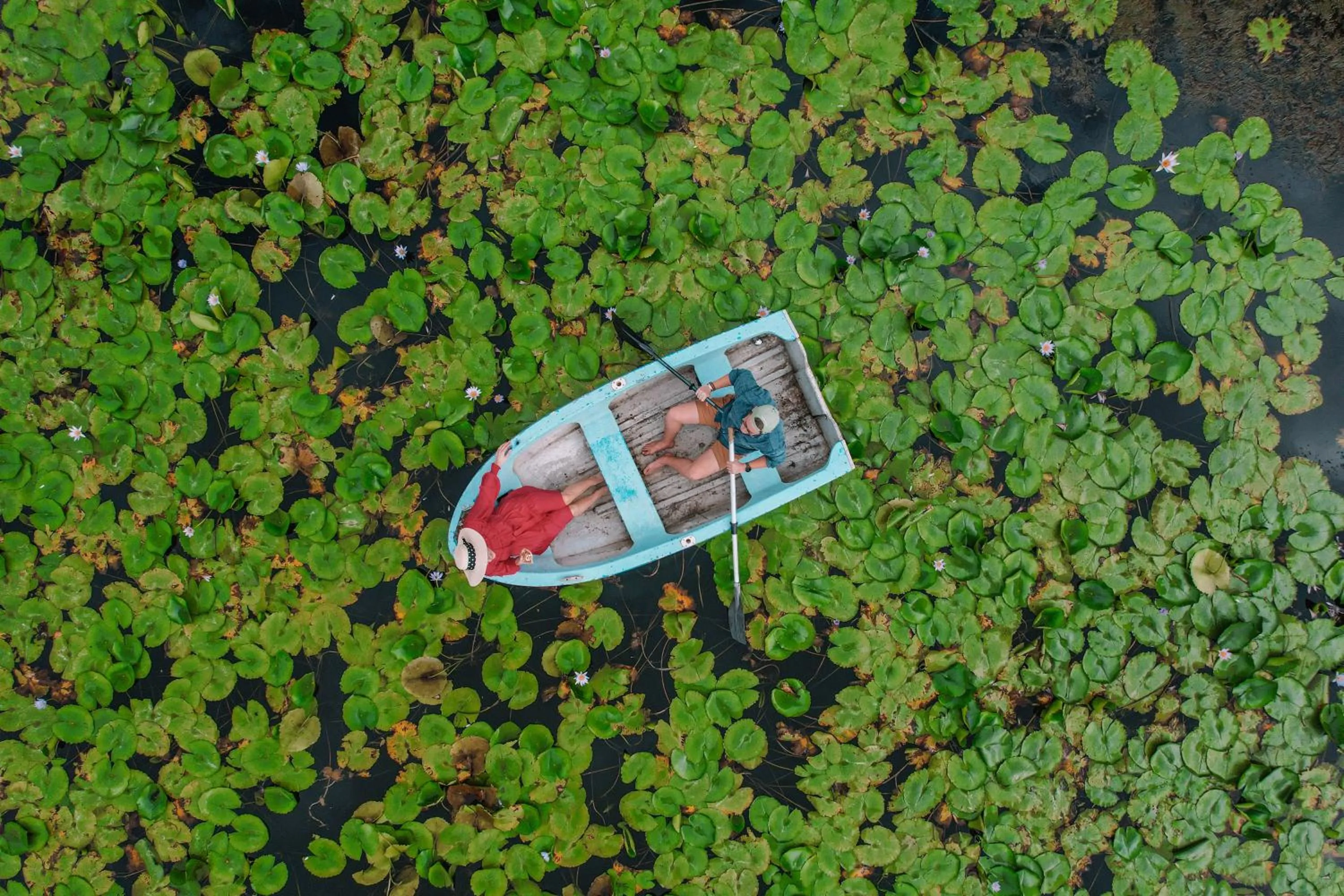 Garden in Thunzi Bush Lodge