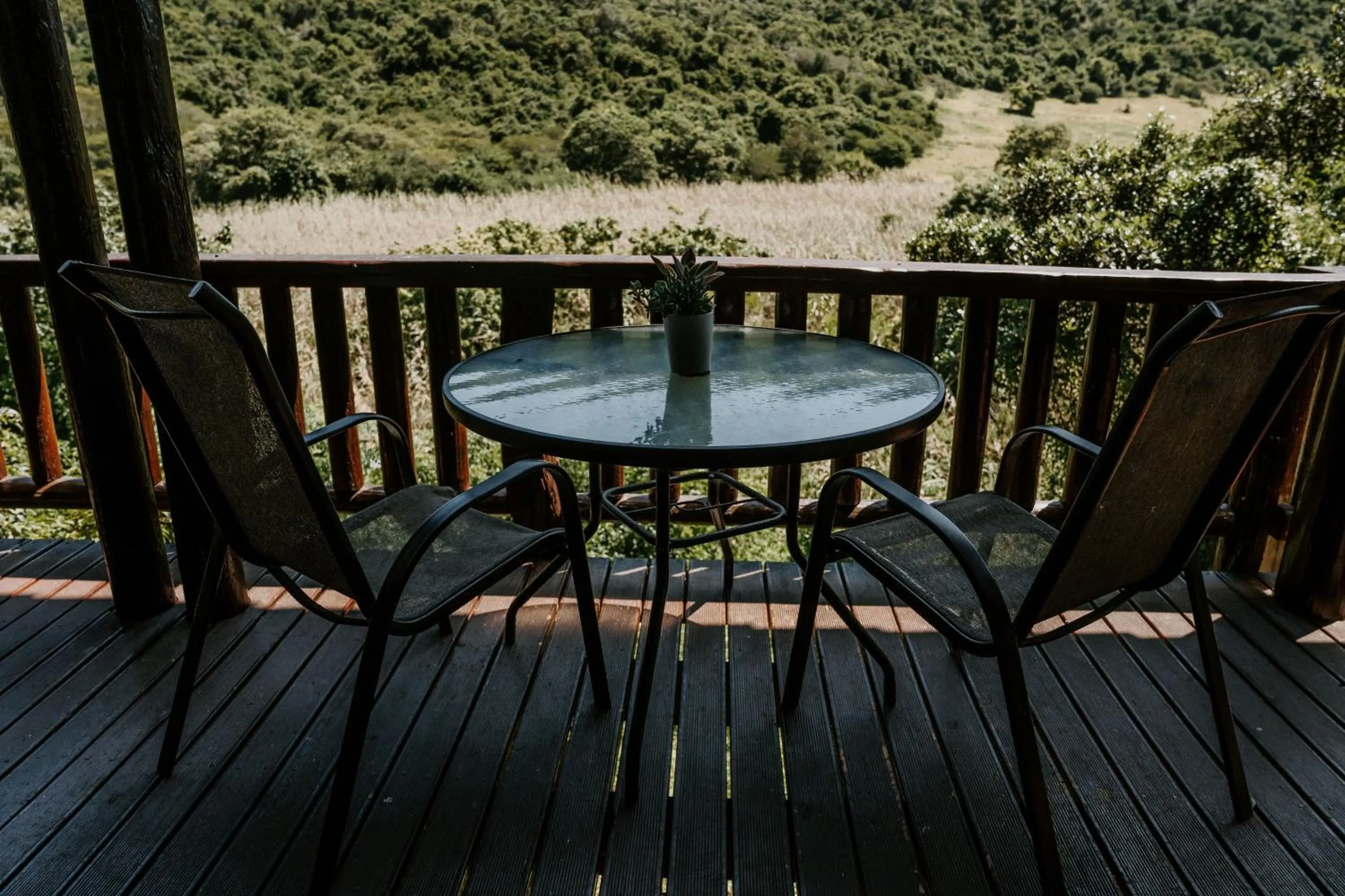 Natural landscape in Thunzi Bush Lodge