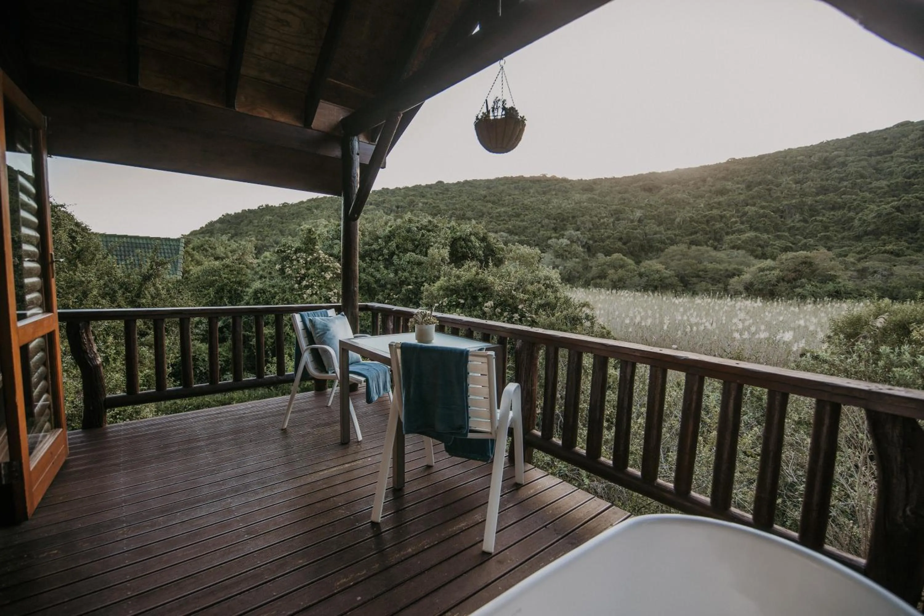 View (from property/room) in Thunzi Bush Lodge