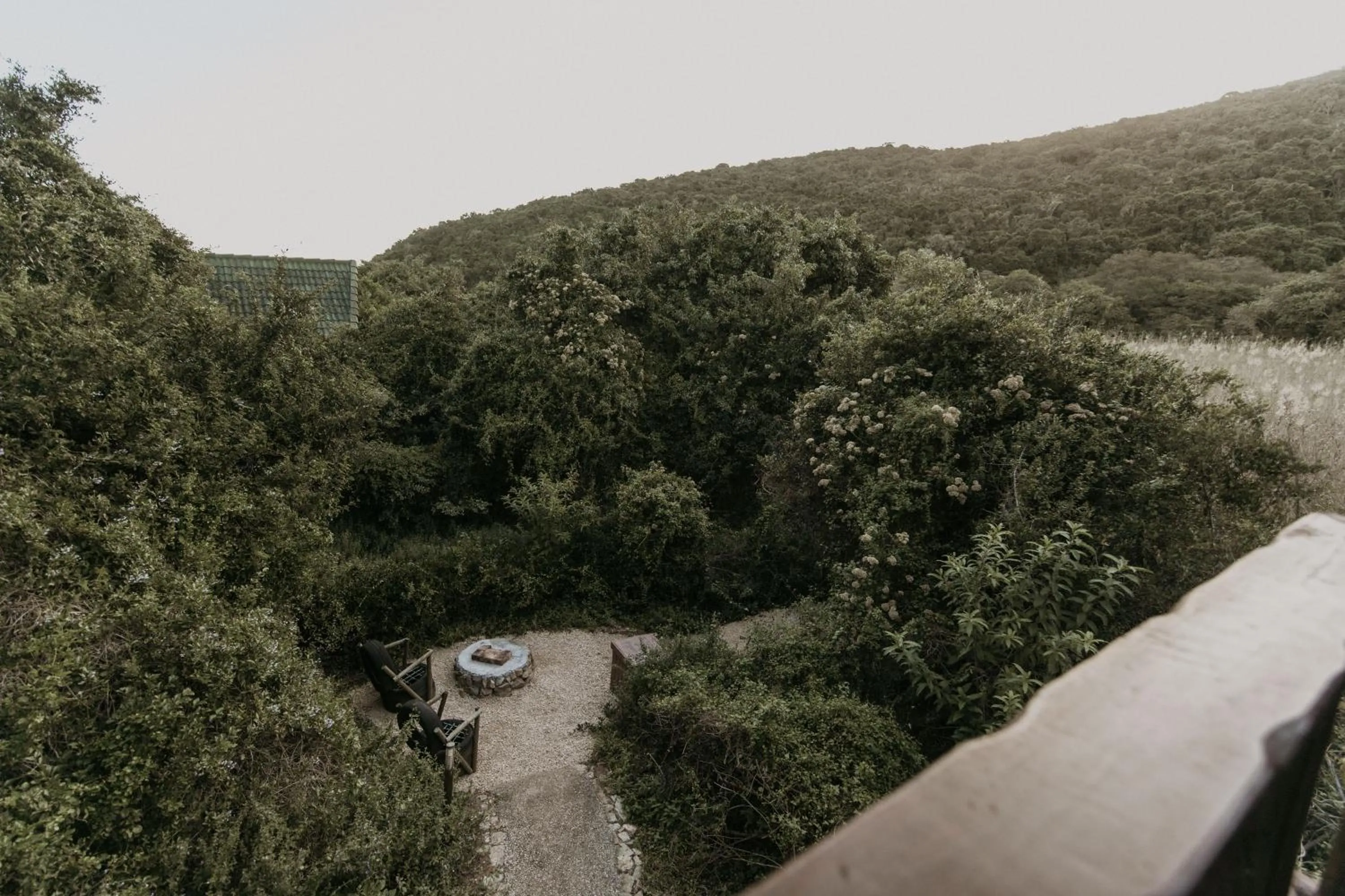 View (from property/room) in Thunzi Bush Lodge
