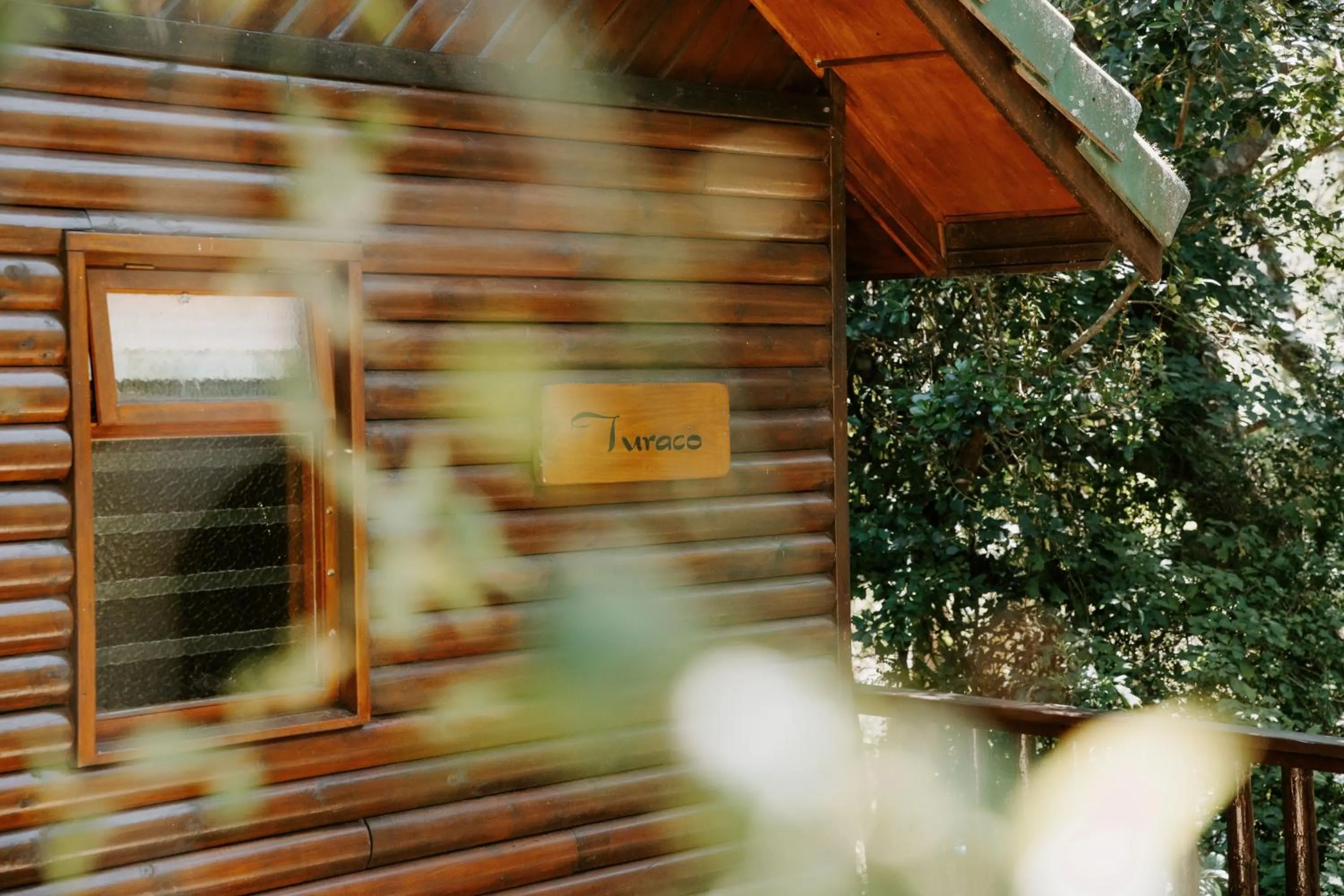 Property building in Thunzi Bush Lodge