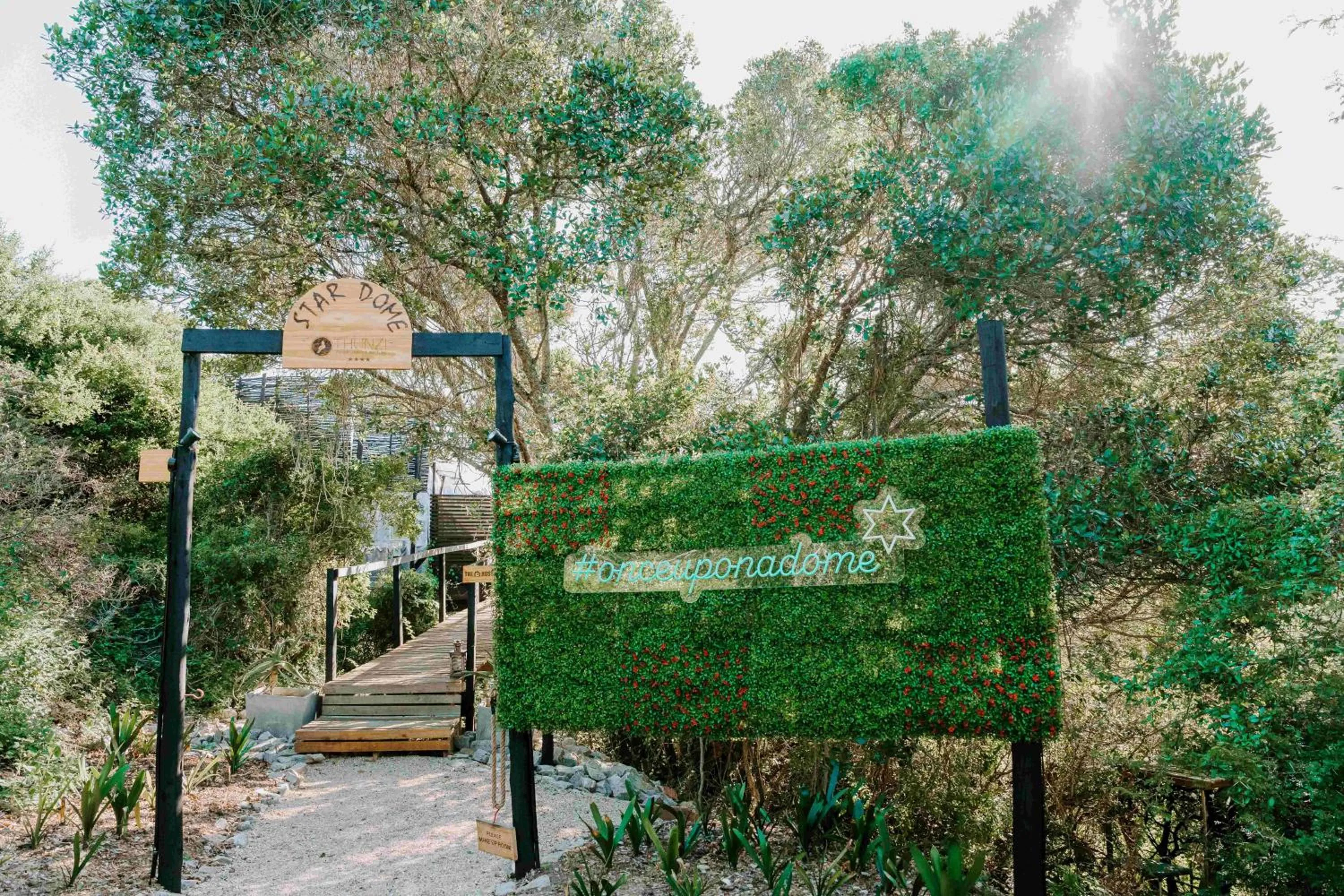 Natural landscape in Thunzi Bush Lodge