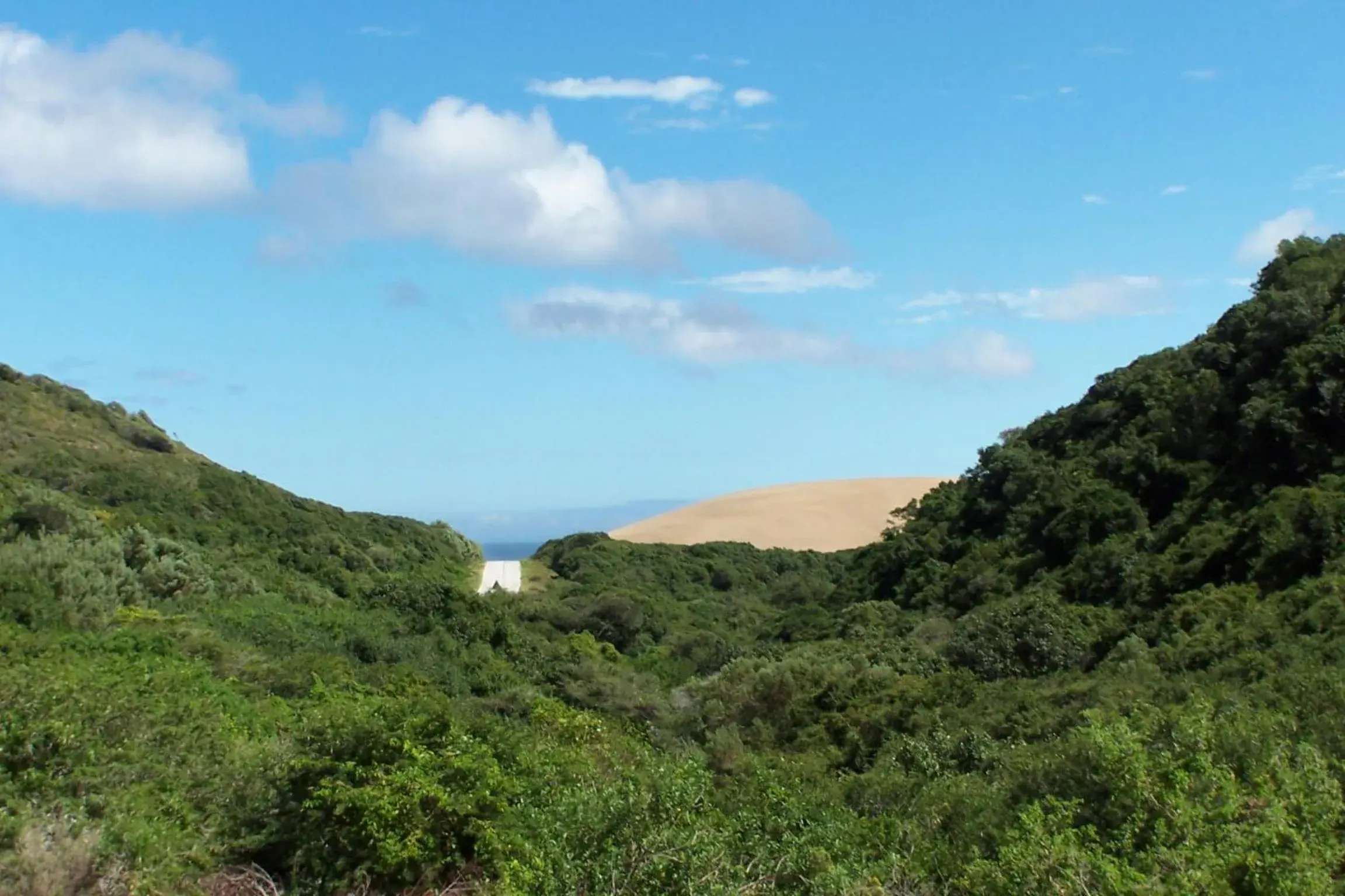 Off site in Thunzi Bush Lodge Off site in Thunzi Bush Lodge