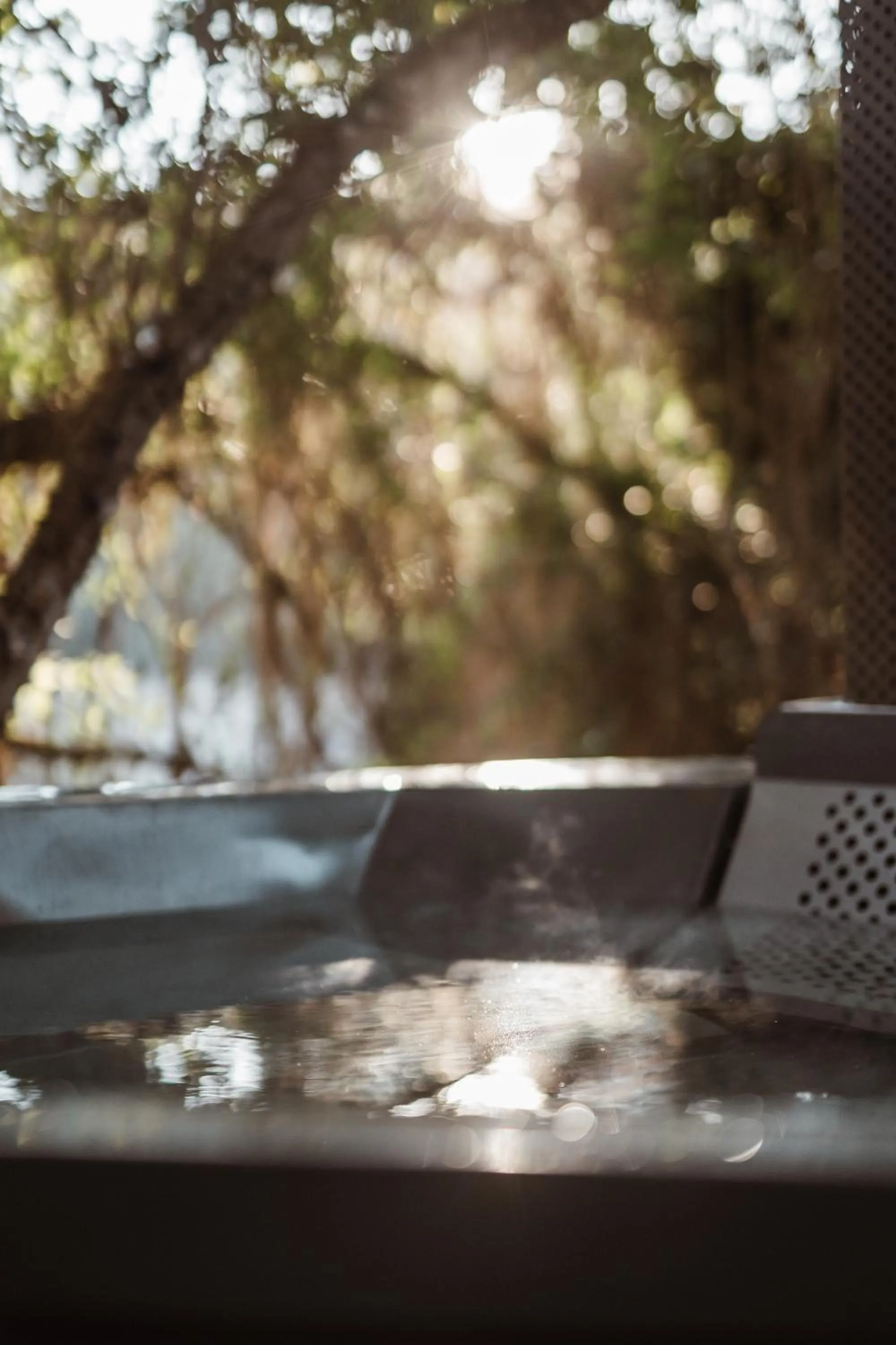 Natural landscape in Thunzi Bush Lodge