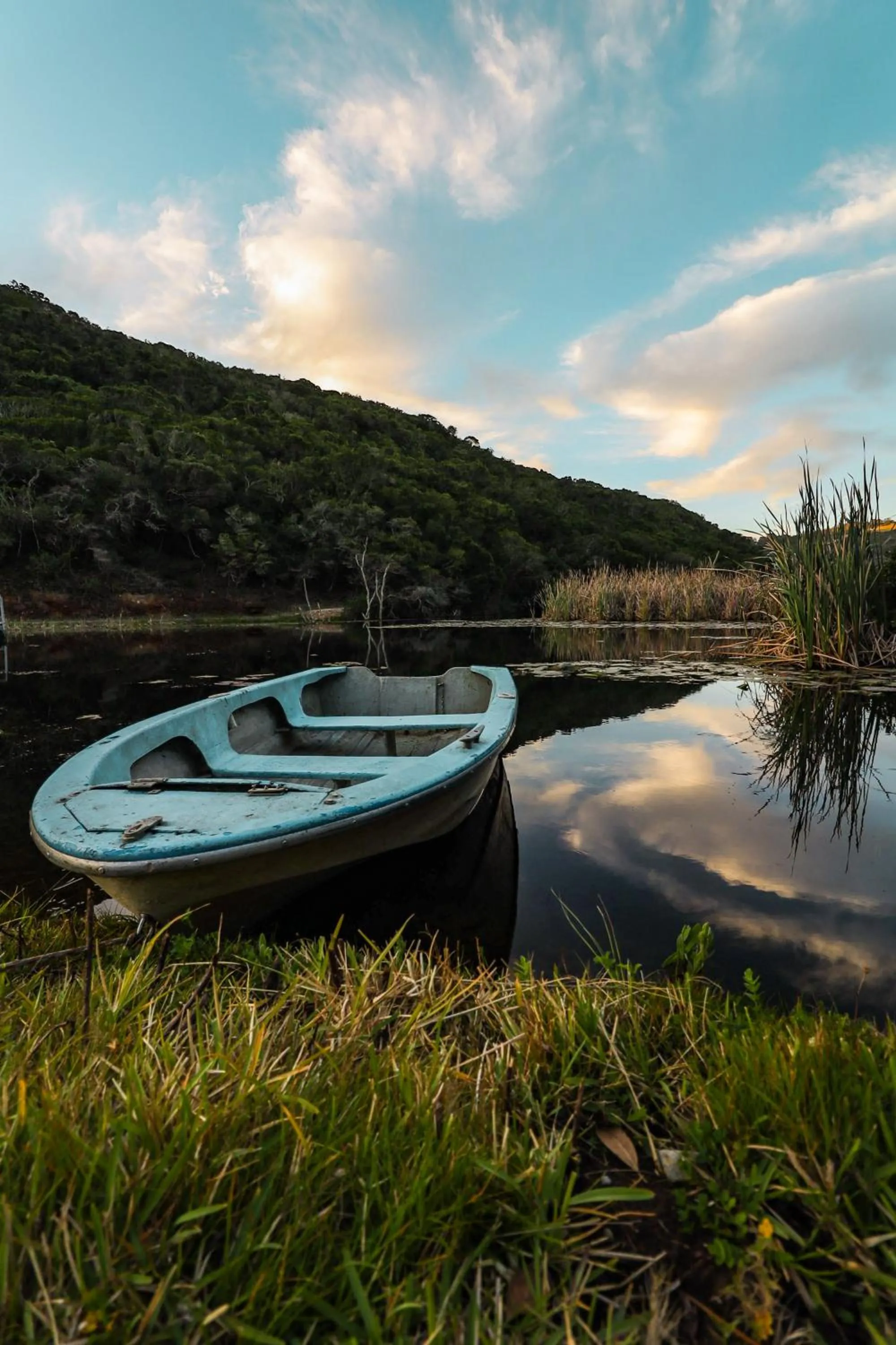 Natural landscape in Thunzi Bush Lodge