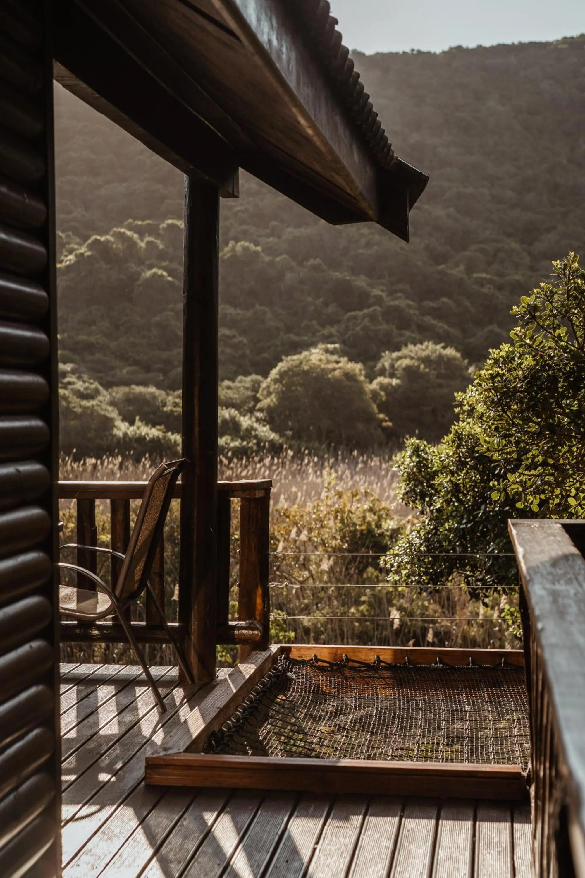 Spring in Thunzi Bush Lodge