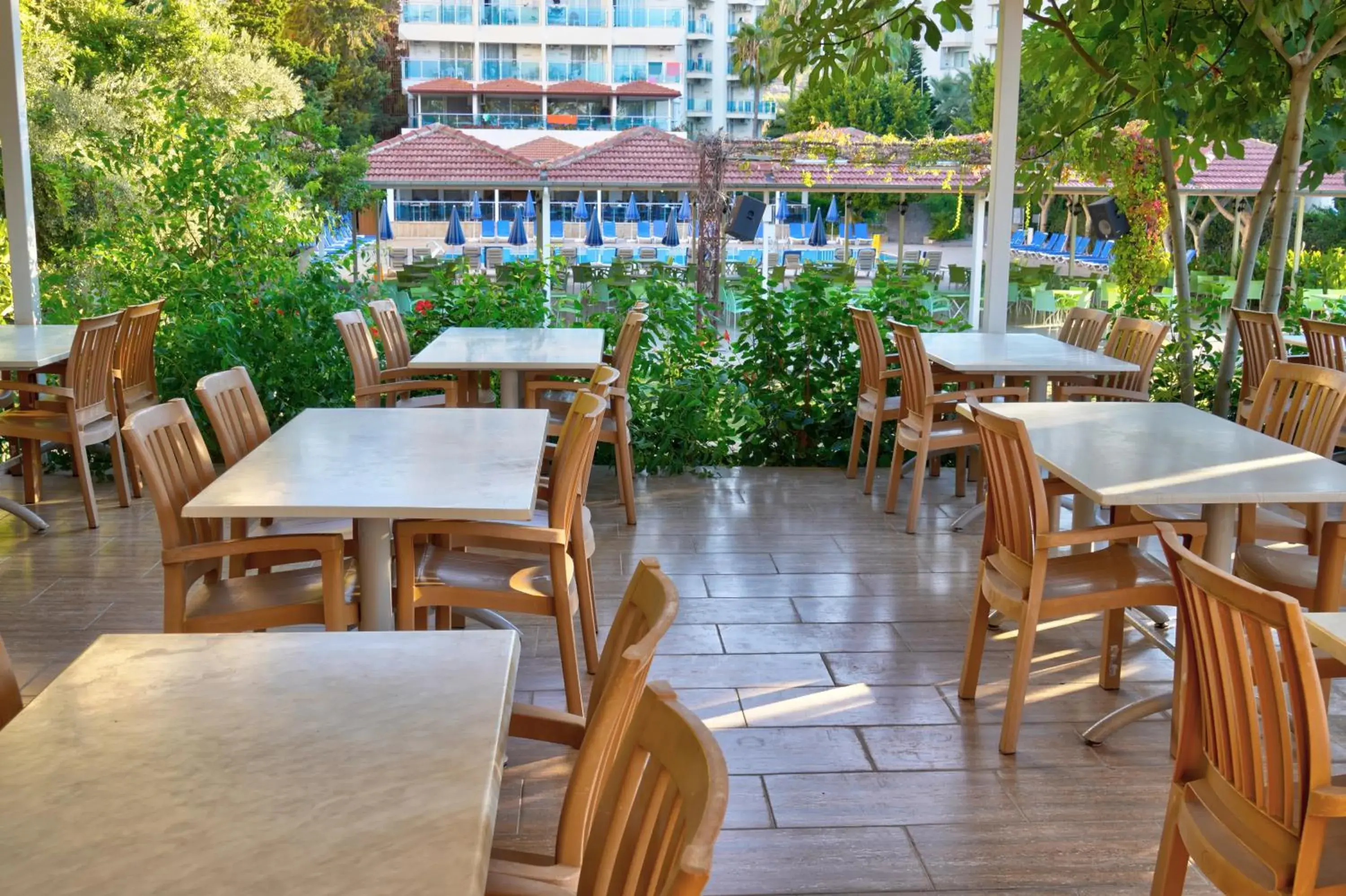 Restaurant/places to eat in Blue Fish Hotel All Inclusive Restaurant/places to eat in Blue Fish Hotel All Inclusive