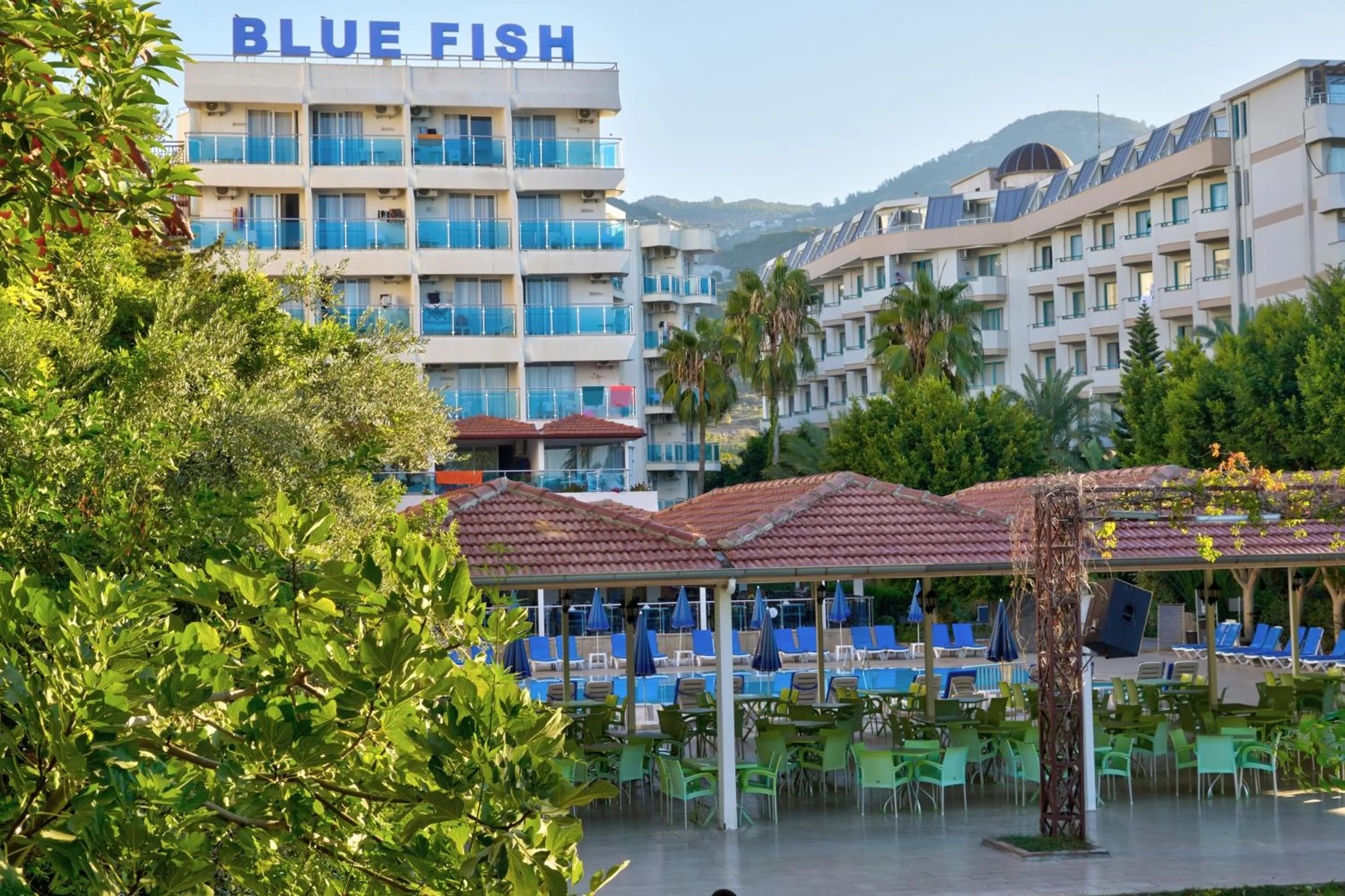 Property building in Blue Fish Hotel All Inclusive