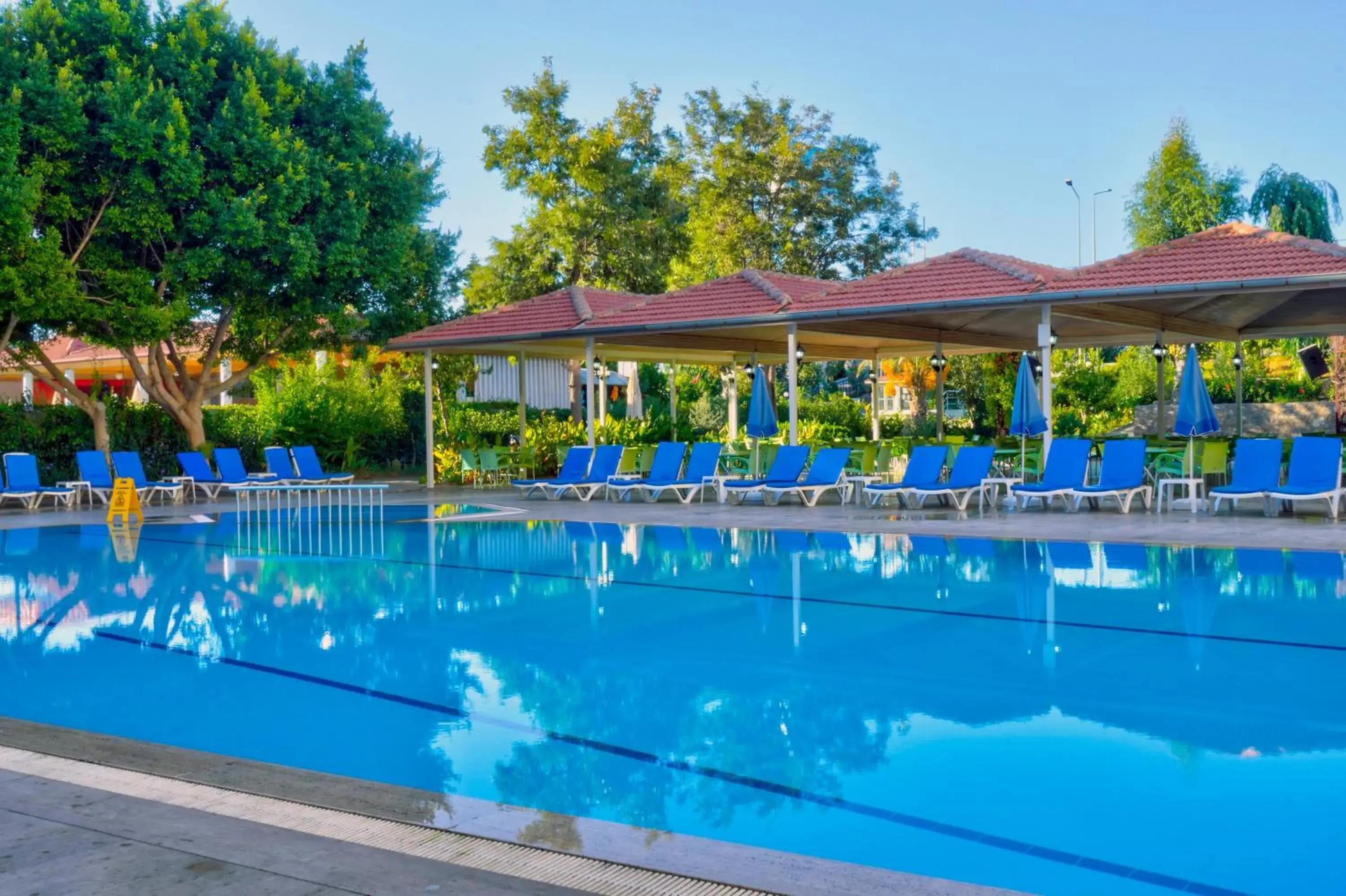 Swimming pool in Blue Fish Hotel All Inclusive Swimming pool in Blue Fish Hotel All Inclusive