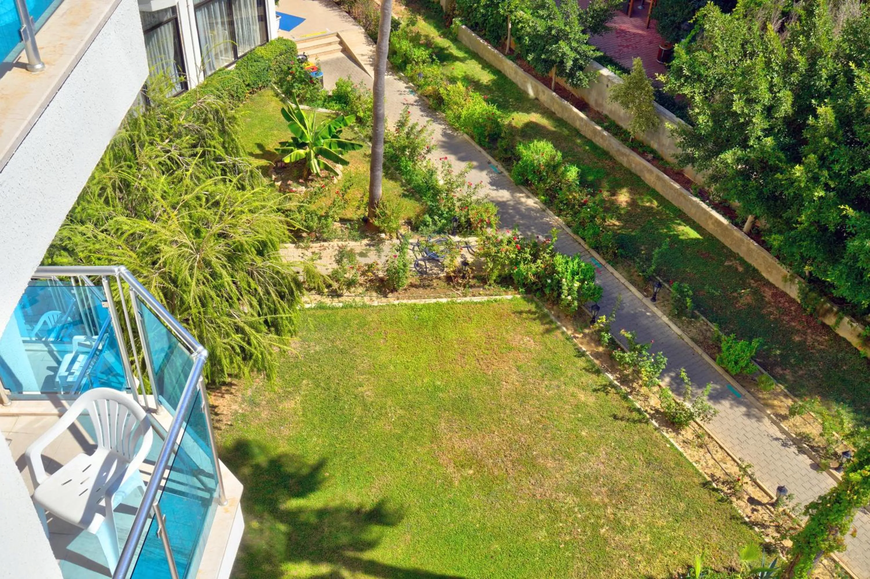 Garden in Blue Fish Hotel All Inclusive