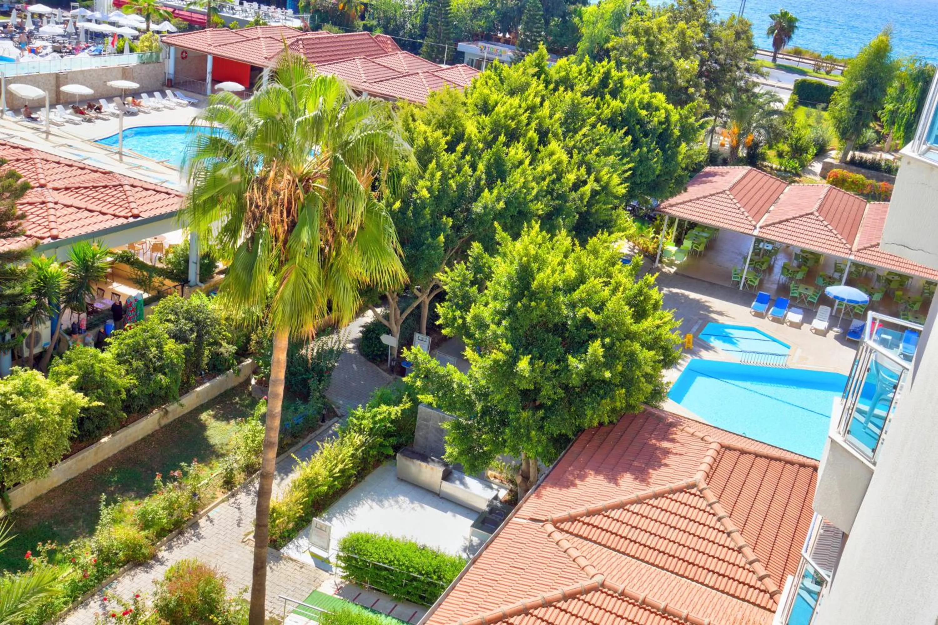 Garden in Blue Fish Hotel All Inclusive