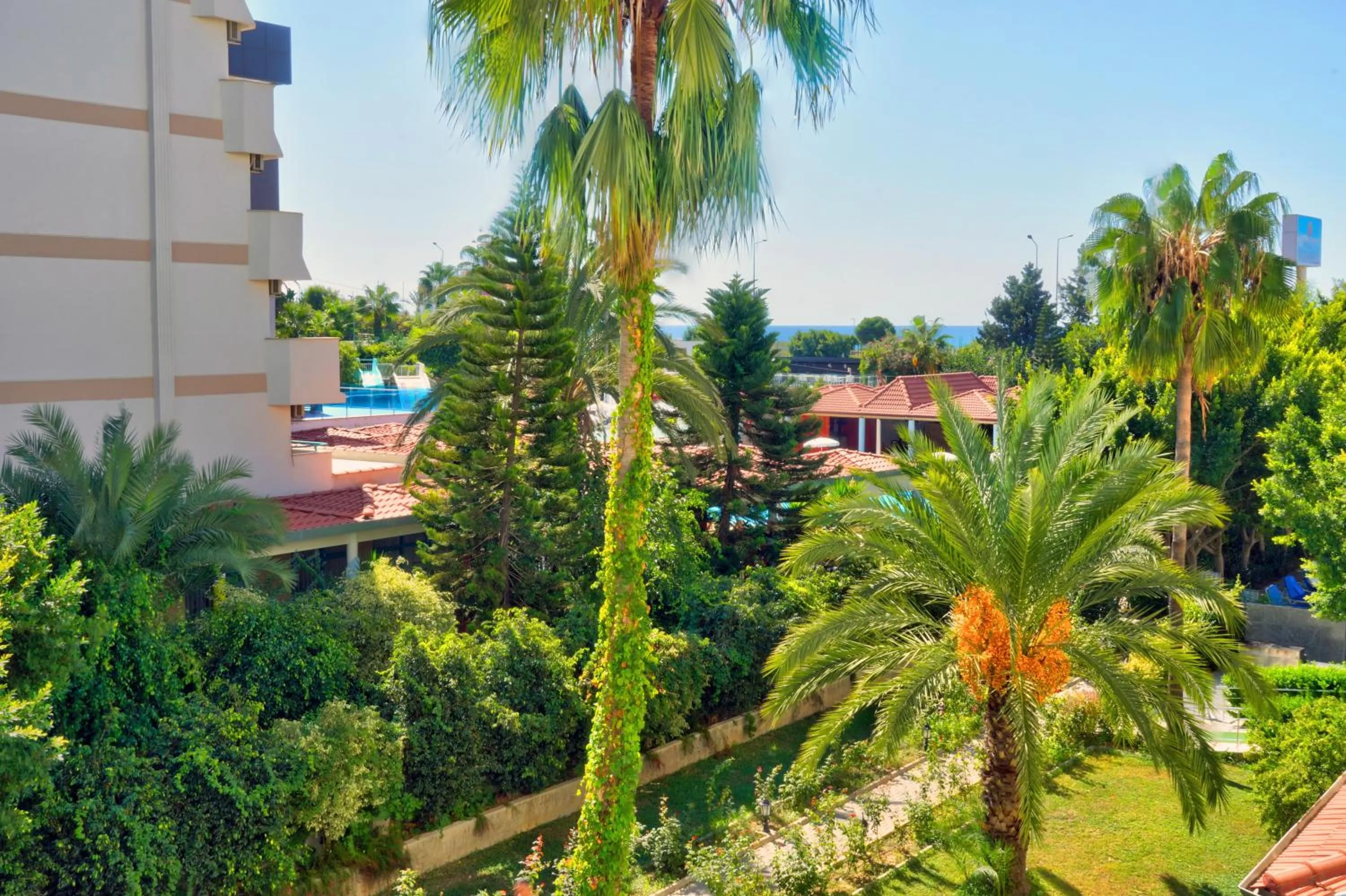 Garden in Blue Fish Hotel All Inclusive