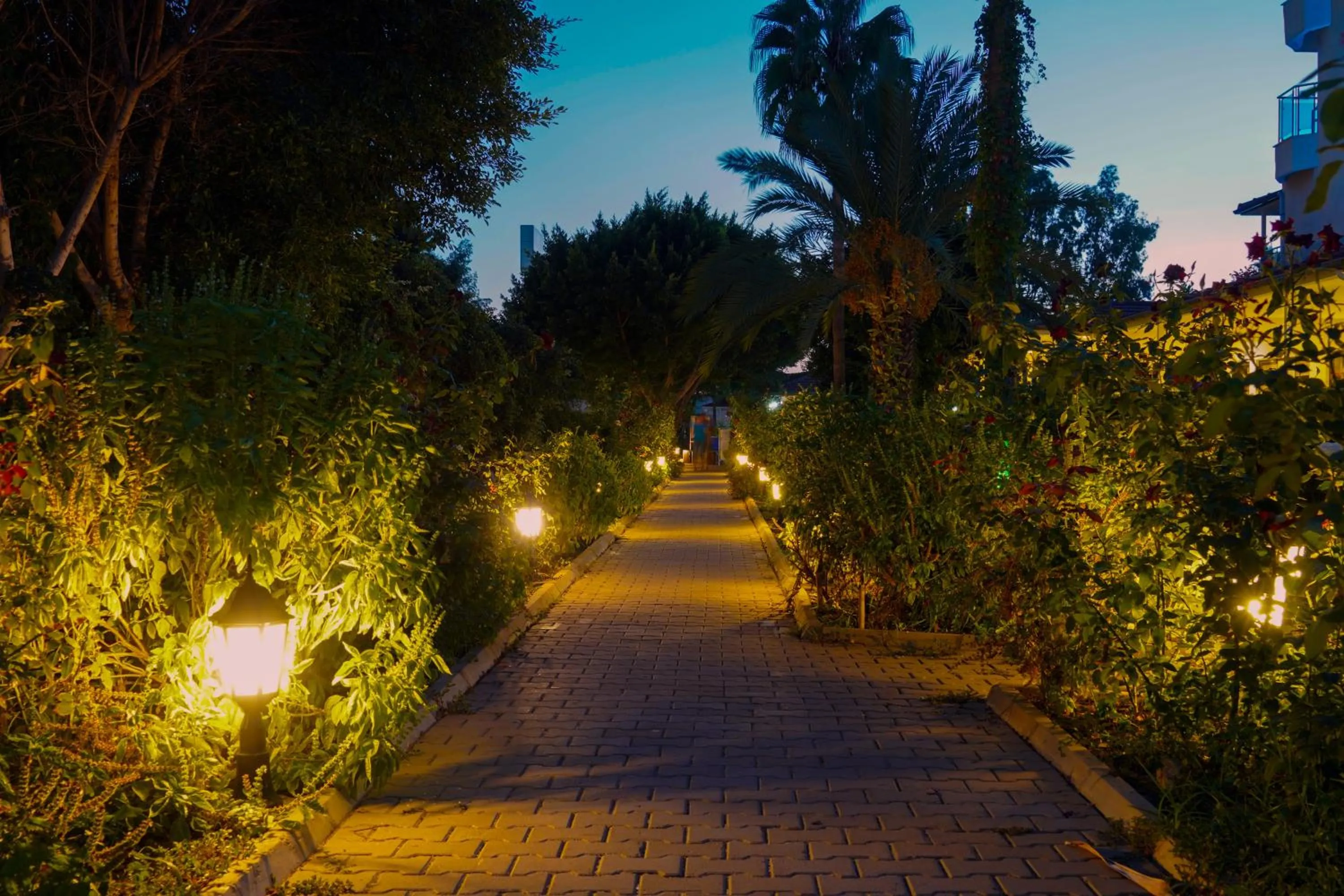 Garden in Blue Fish Hotel All Inclusive