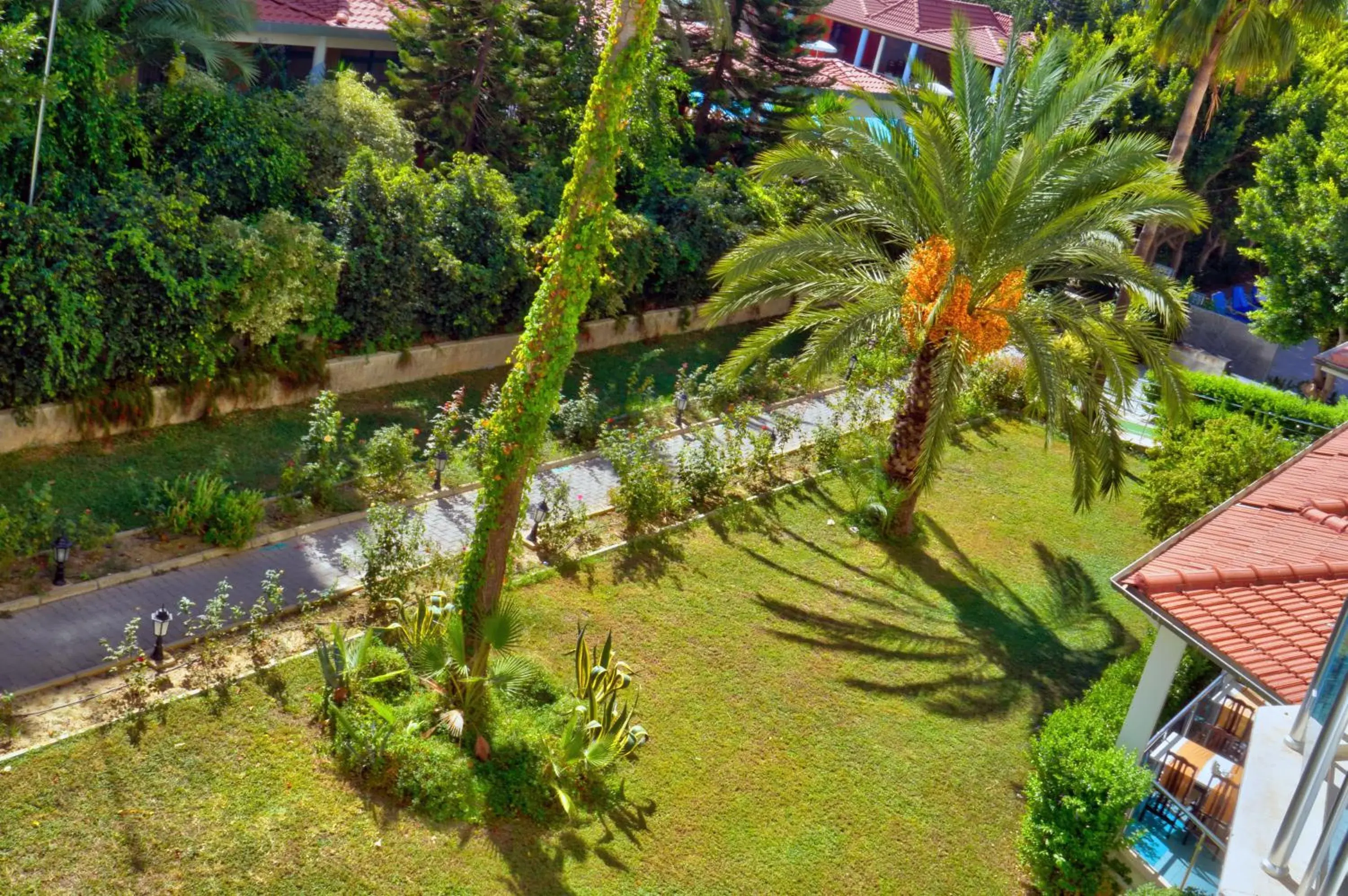 Garden view in Blue Fish Hotel All Inclusive Garden view in Blue Fish Hotel All Inclusive