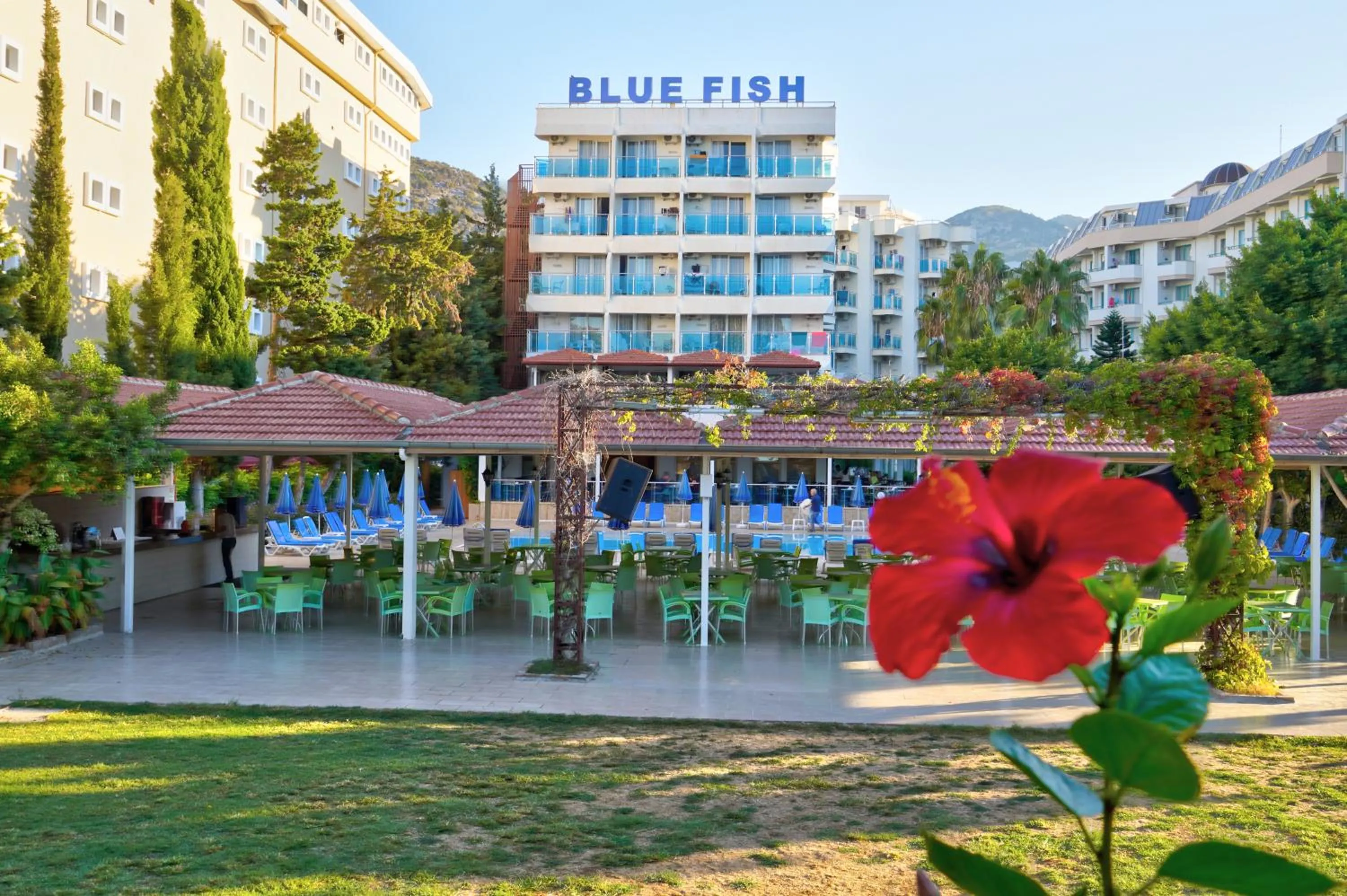 Garden view in Blue Fish Hotel All Inclusive