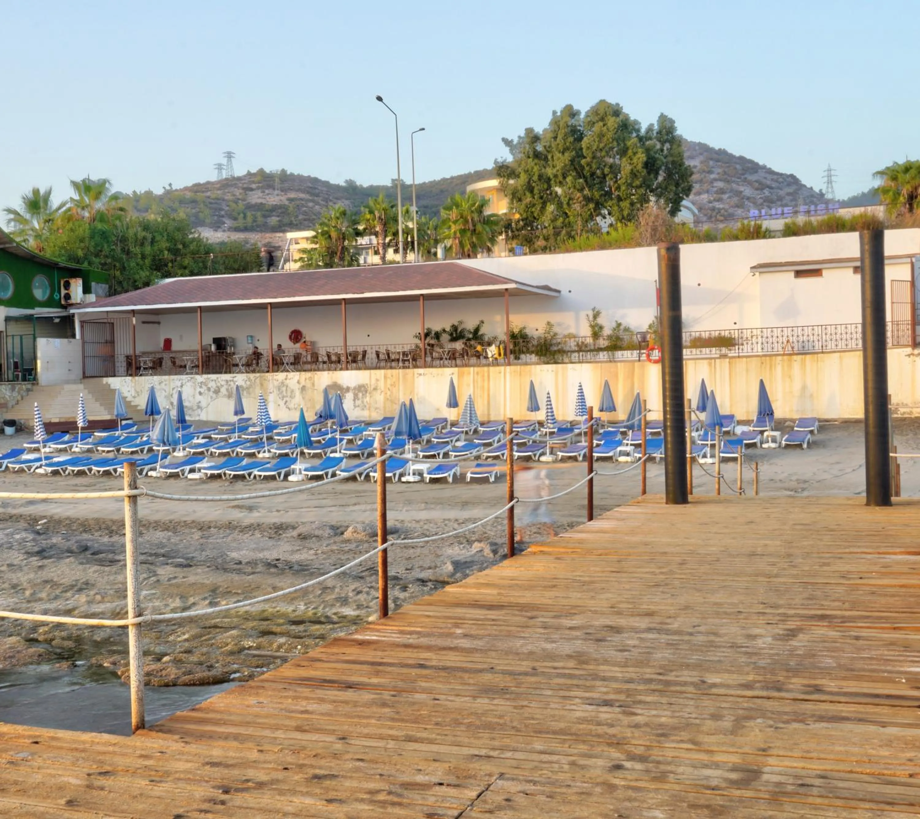 Beach in Blue Fish Hotel All Inclusive