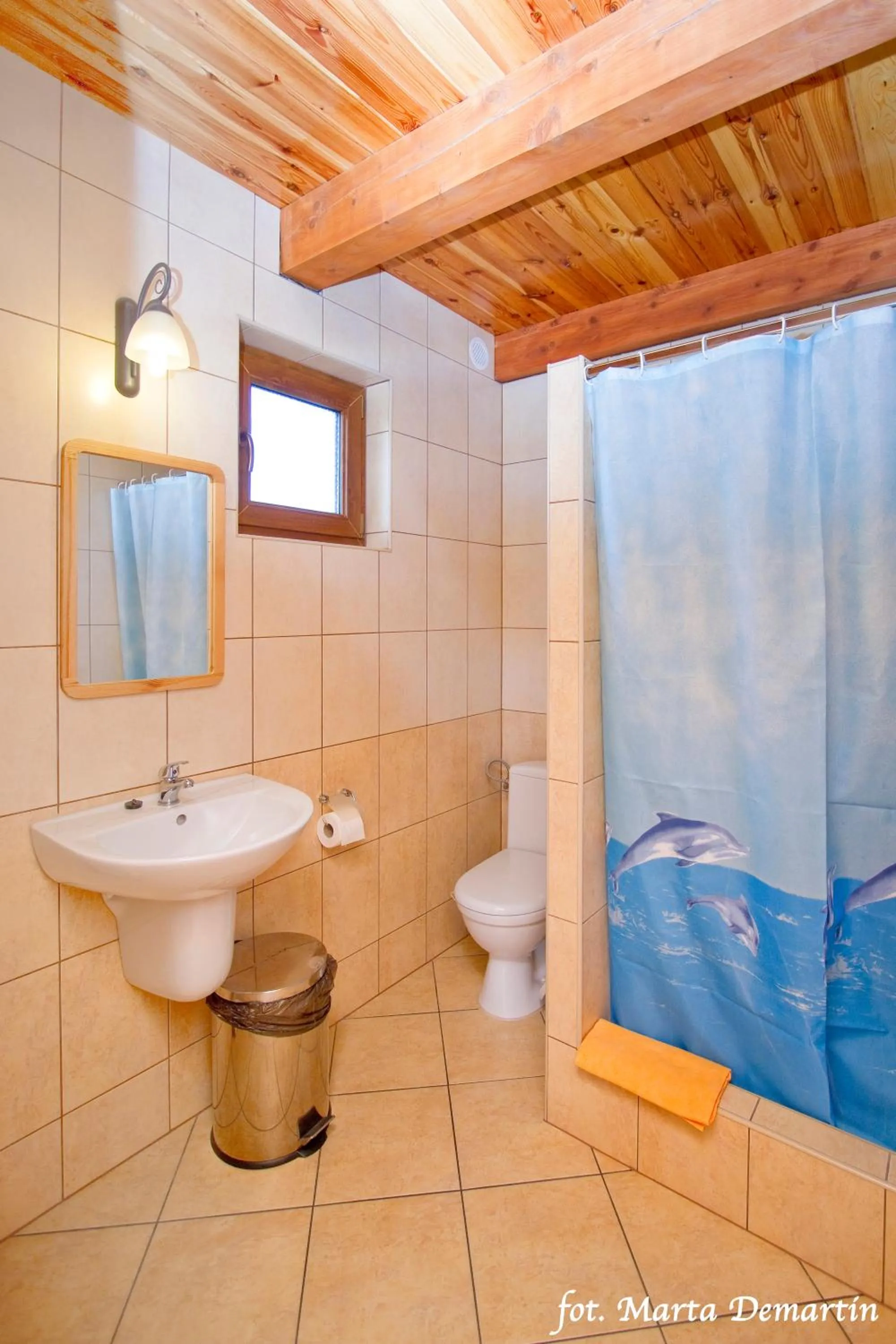 Shower in Domki Ania