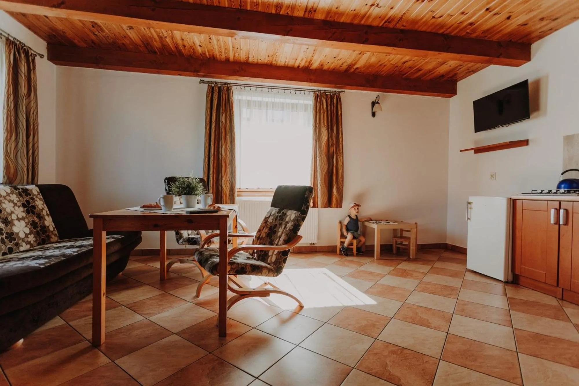 TV and multimedia in Domki Ania