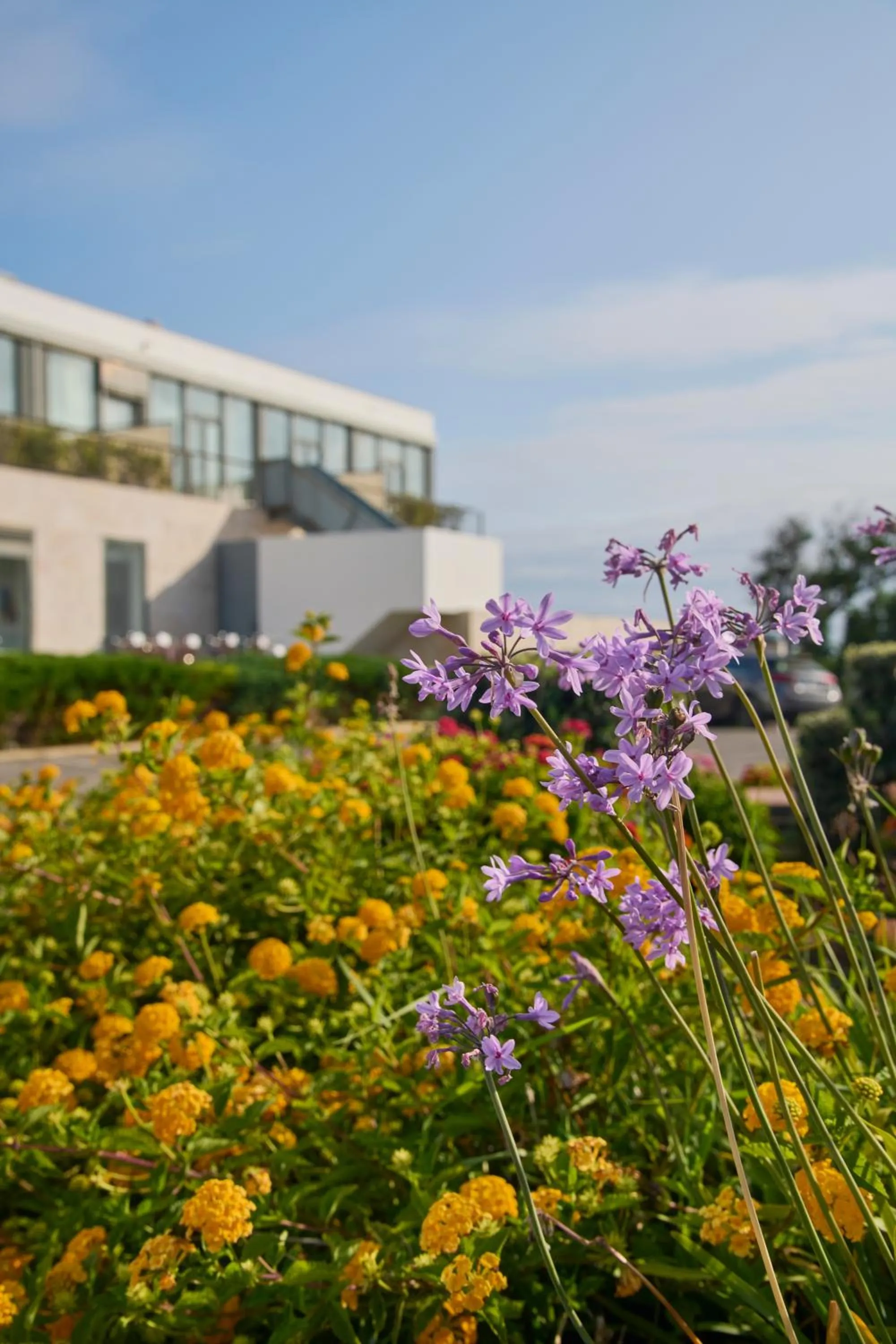 Property building in Farol Hotel