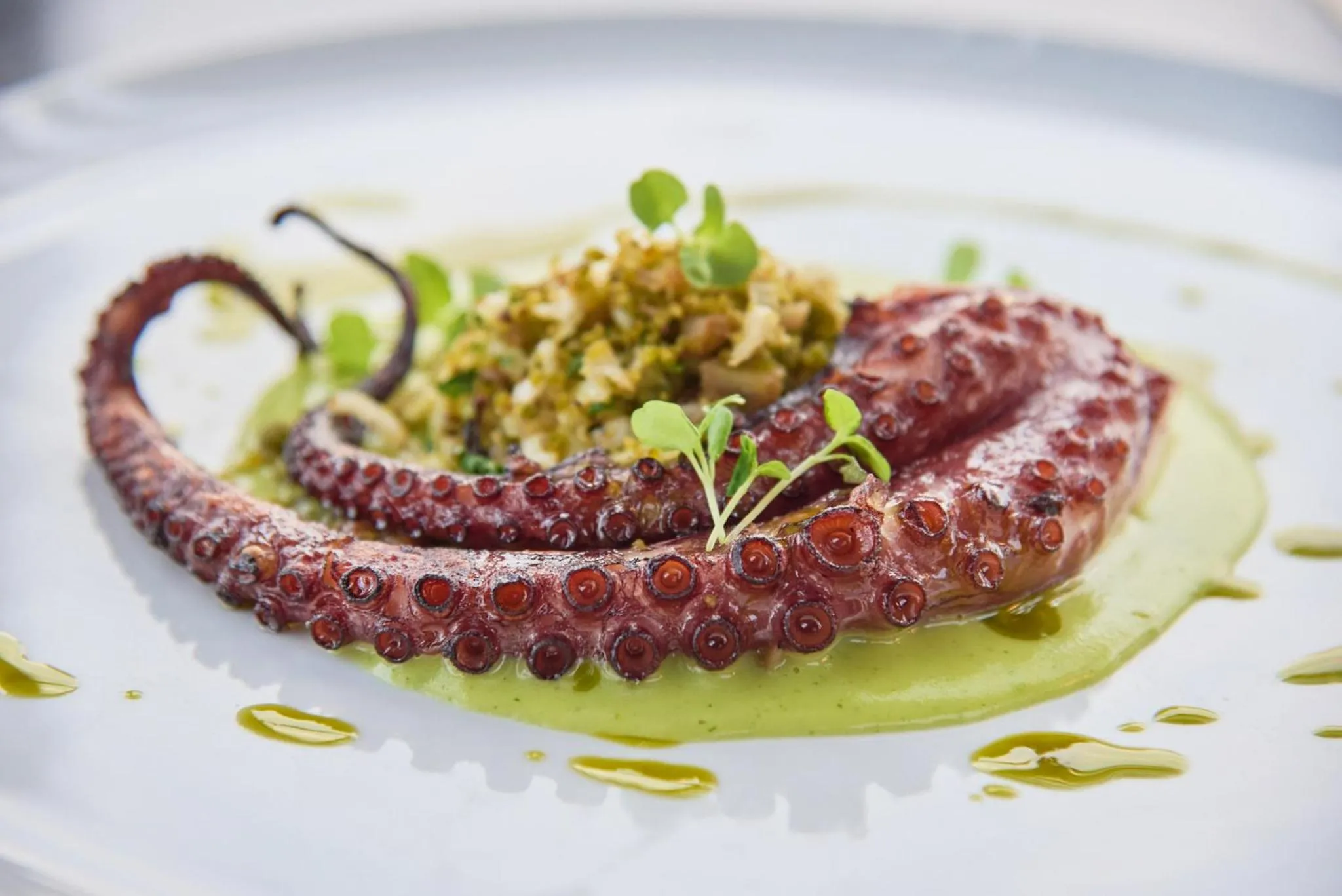 Restaurant/places to eat in Farol Hotel