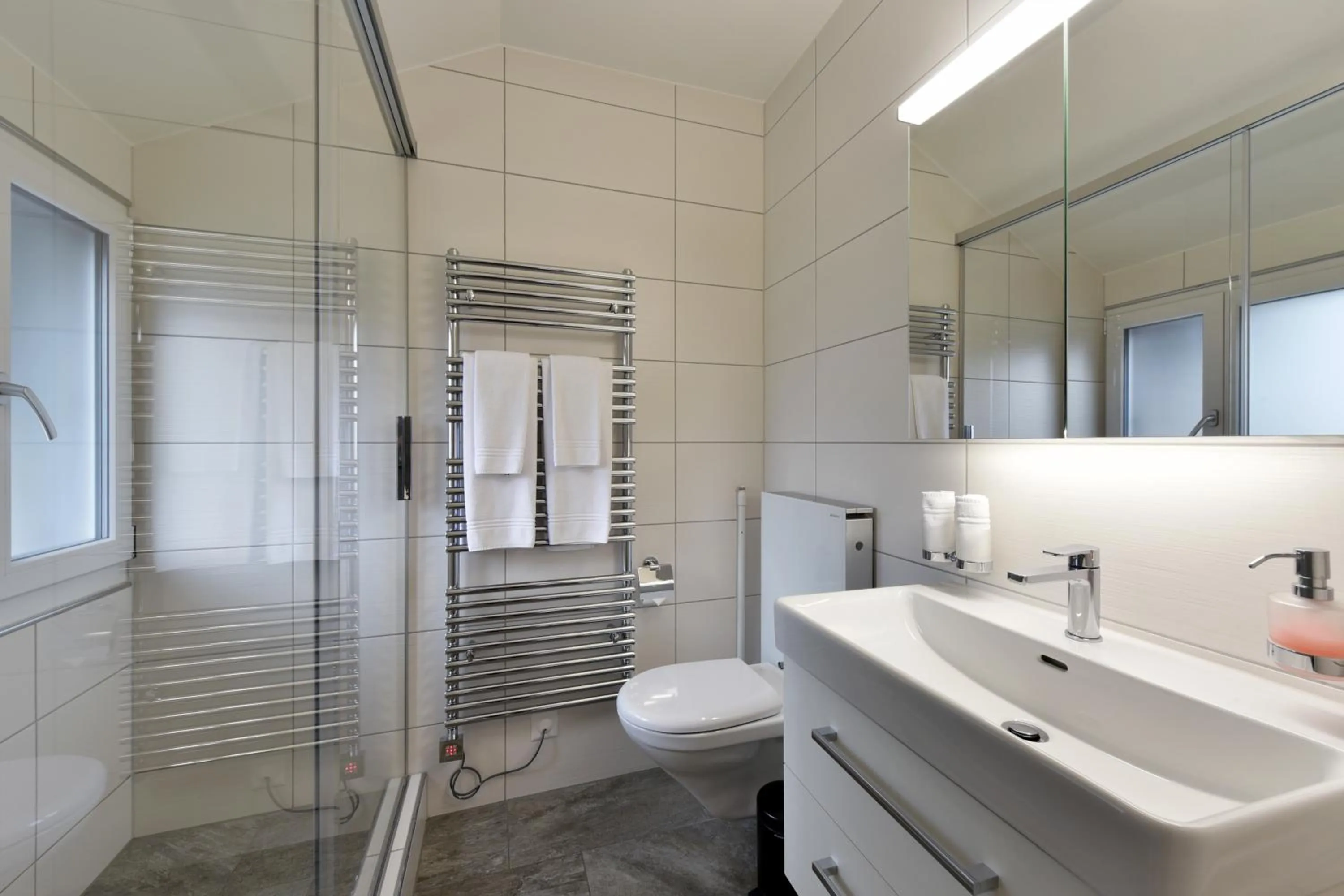 Shower in Hotel Sternen