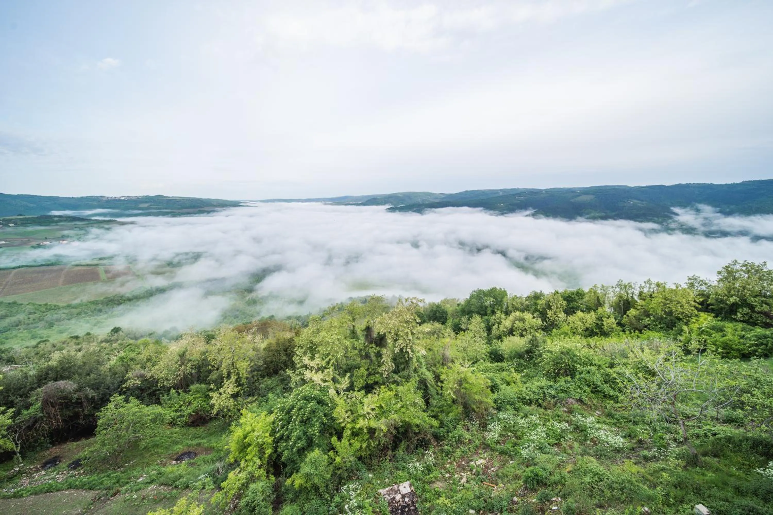 View (from property/room) in Villa Borgo B&B